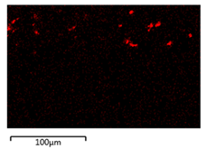 Membranes 12 00208 i004