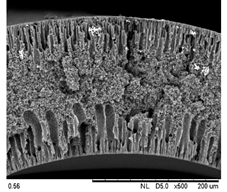 Membranes 12 00208 i005