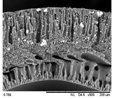 Membranes 12 00208 i007