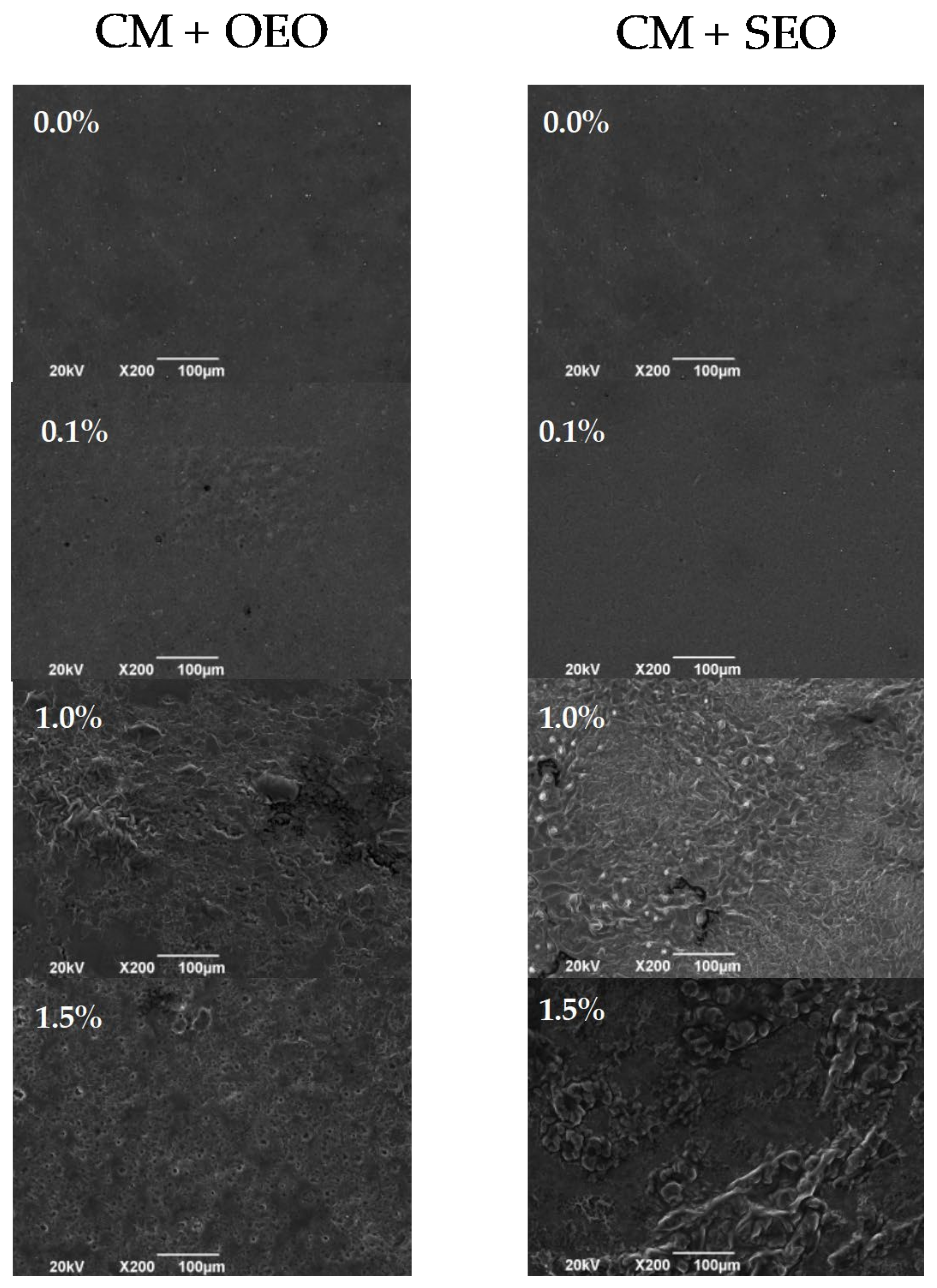 Membranes 12 00213 g003