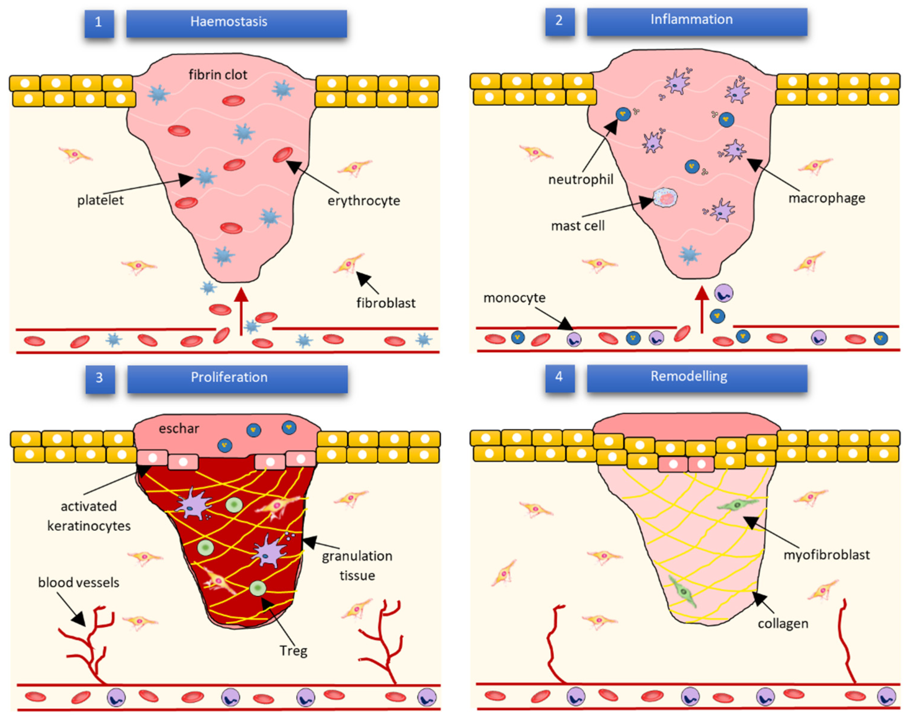 Membranes 12 00215 g002