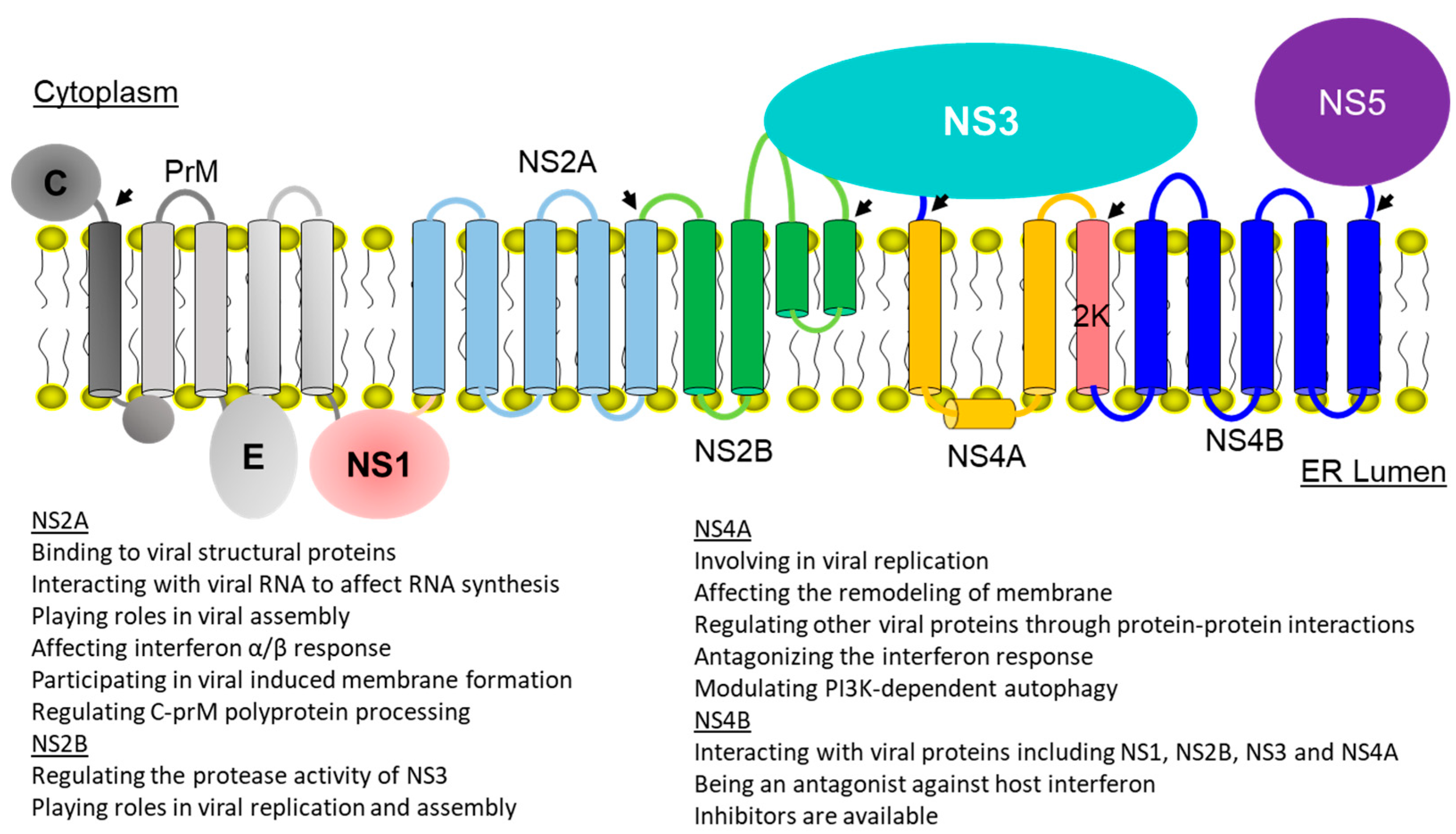 Membranes 12 00231 g001