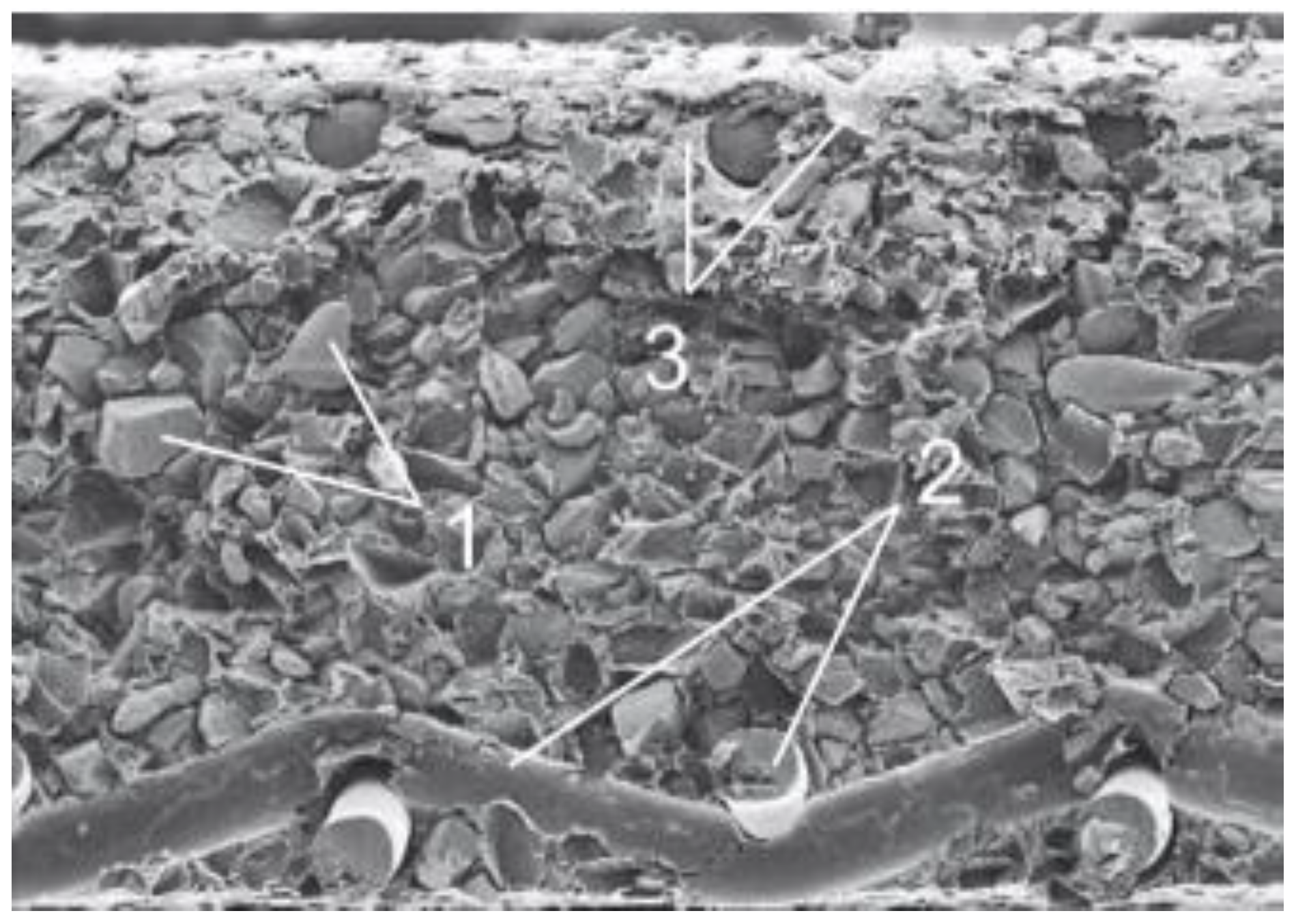 Membranes 12 00243 g003
