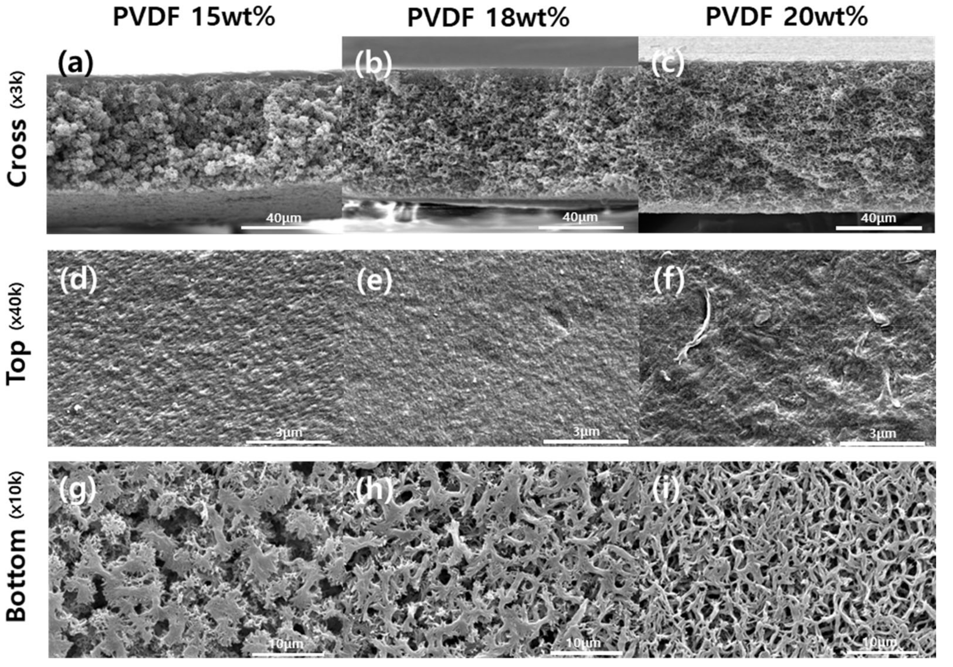 Membranes 12 00250 g003