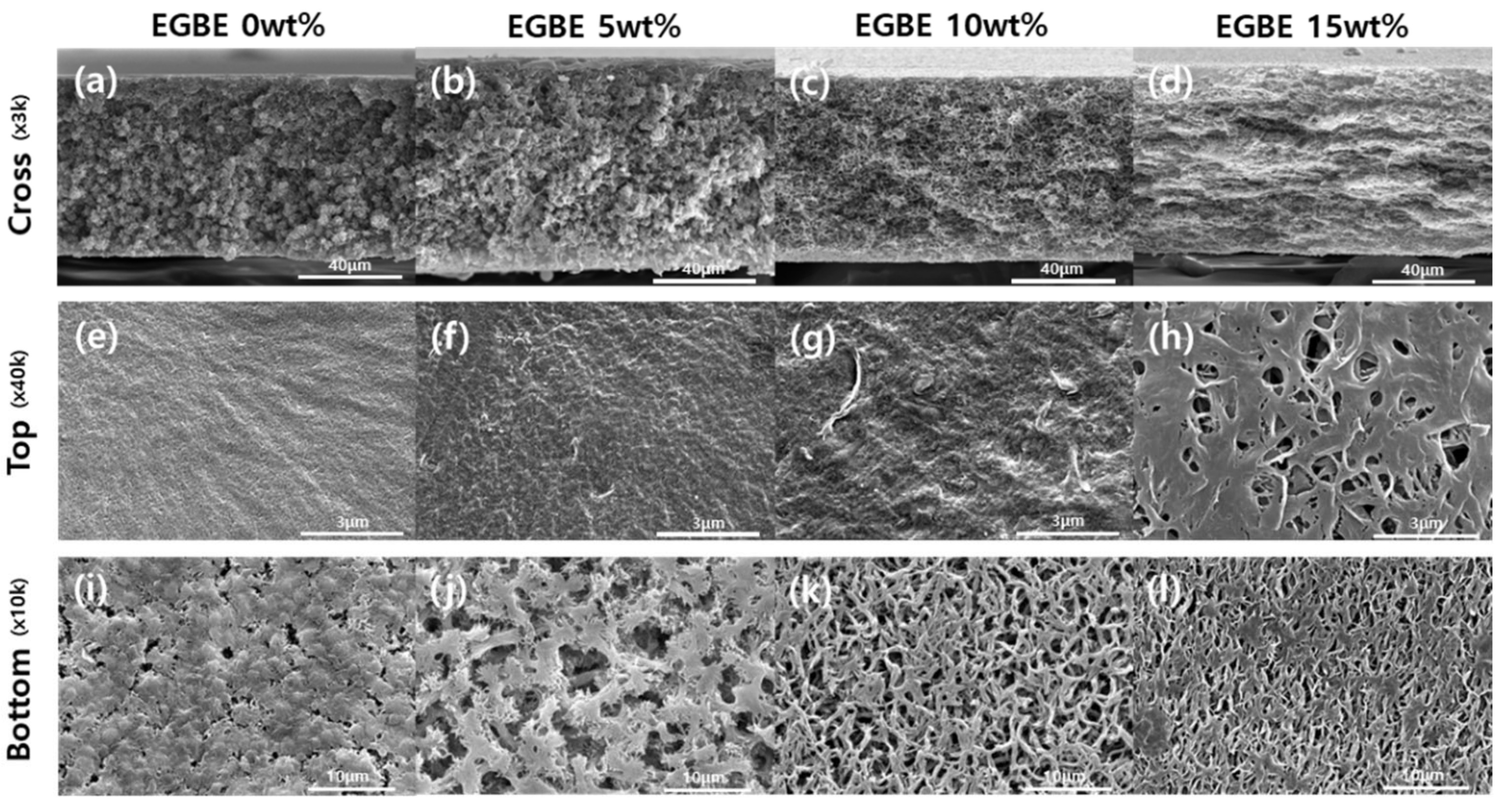 Membranes 12 00250 g004
