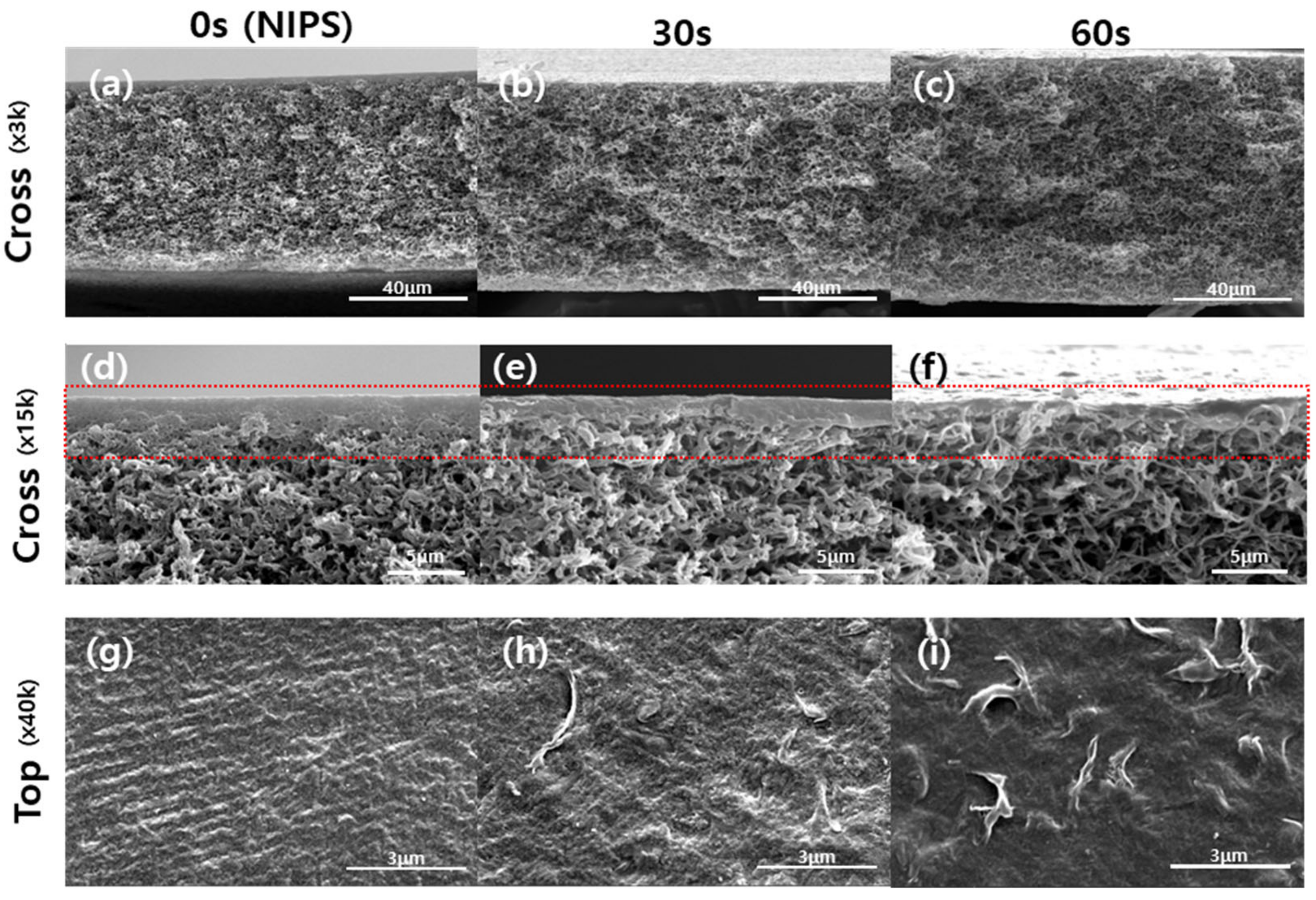Membranes 12 00250 g007