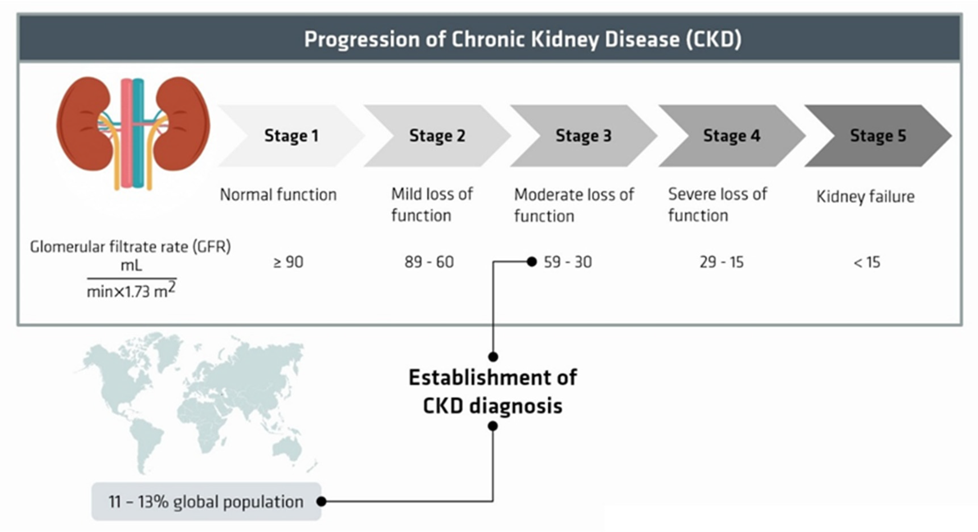 Membranes 12 00261 g001