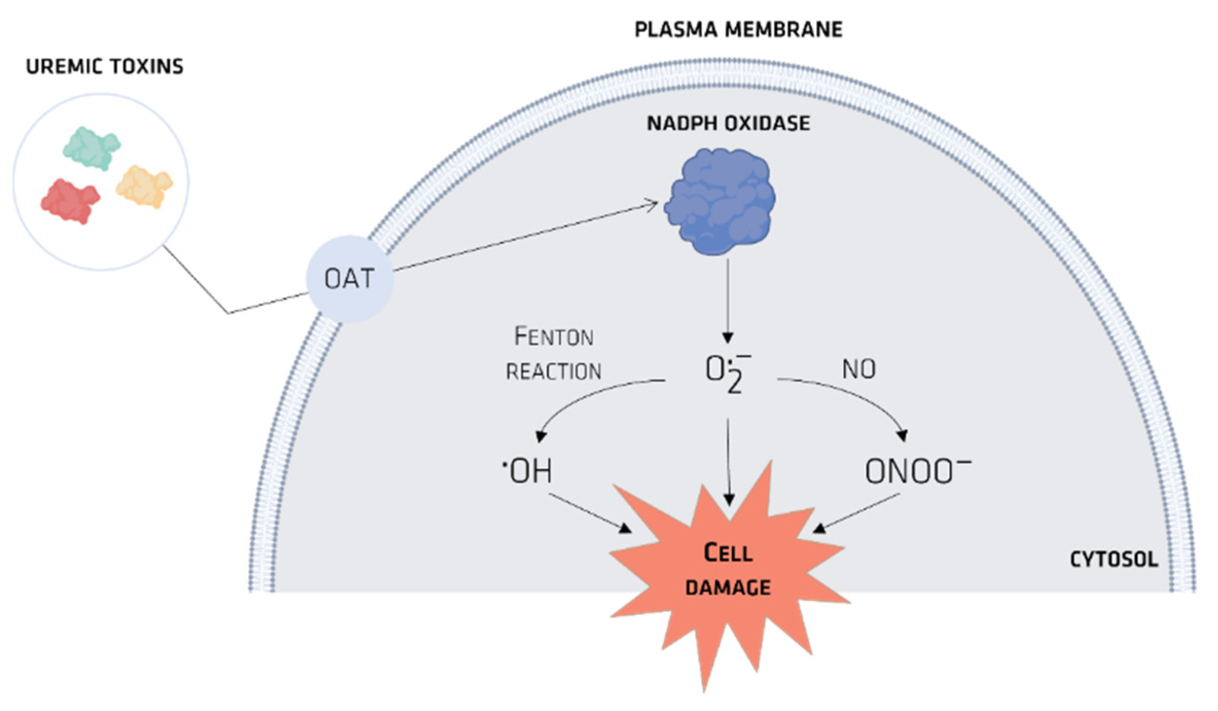 Membranes 12 00261 g004