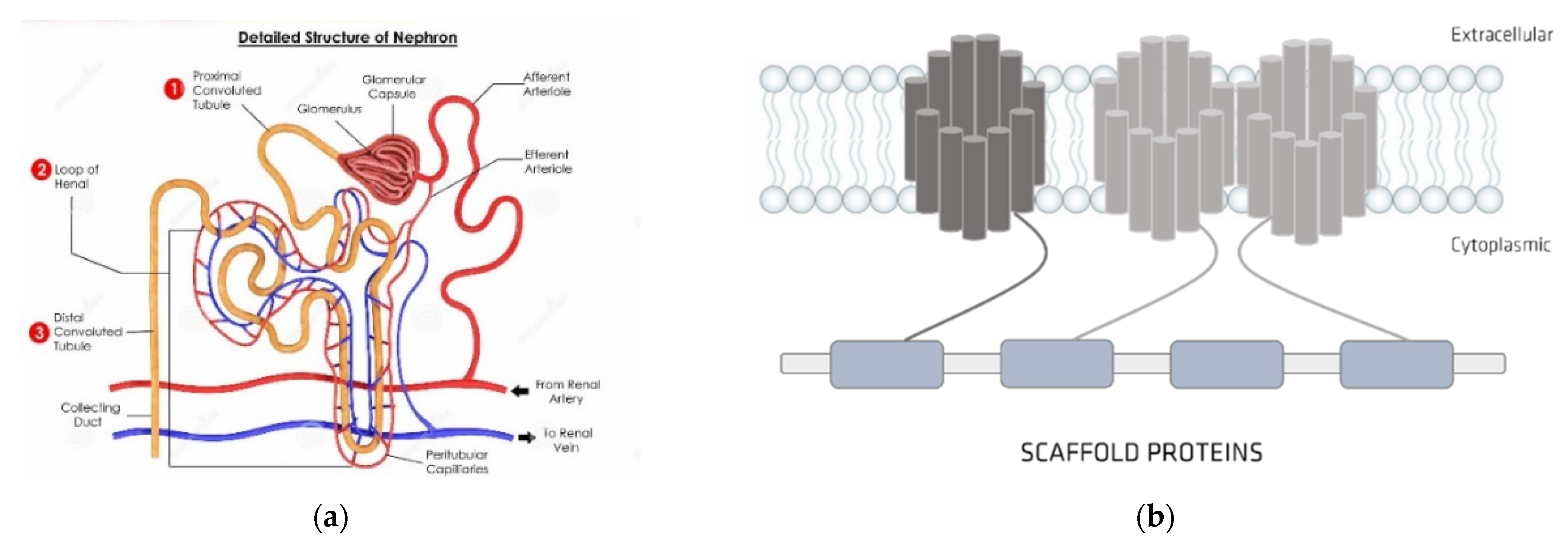 Membranes 12 00261 g005