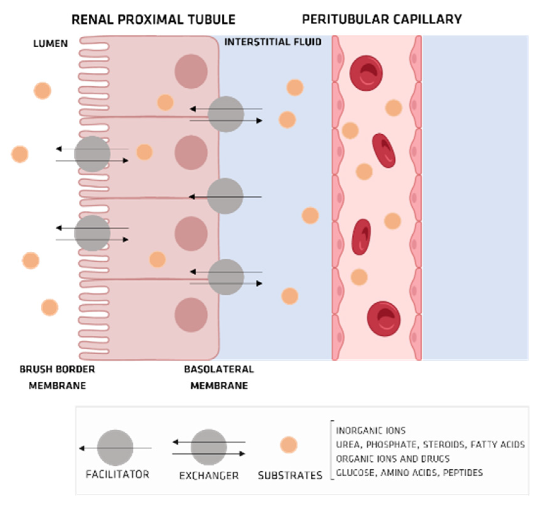 Membranes 12 00261 g006