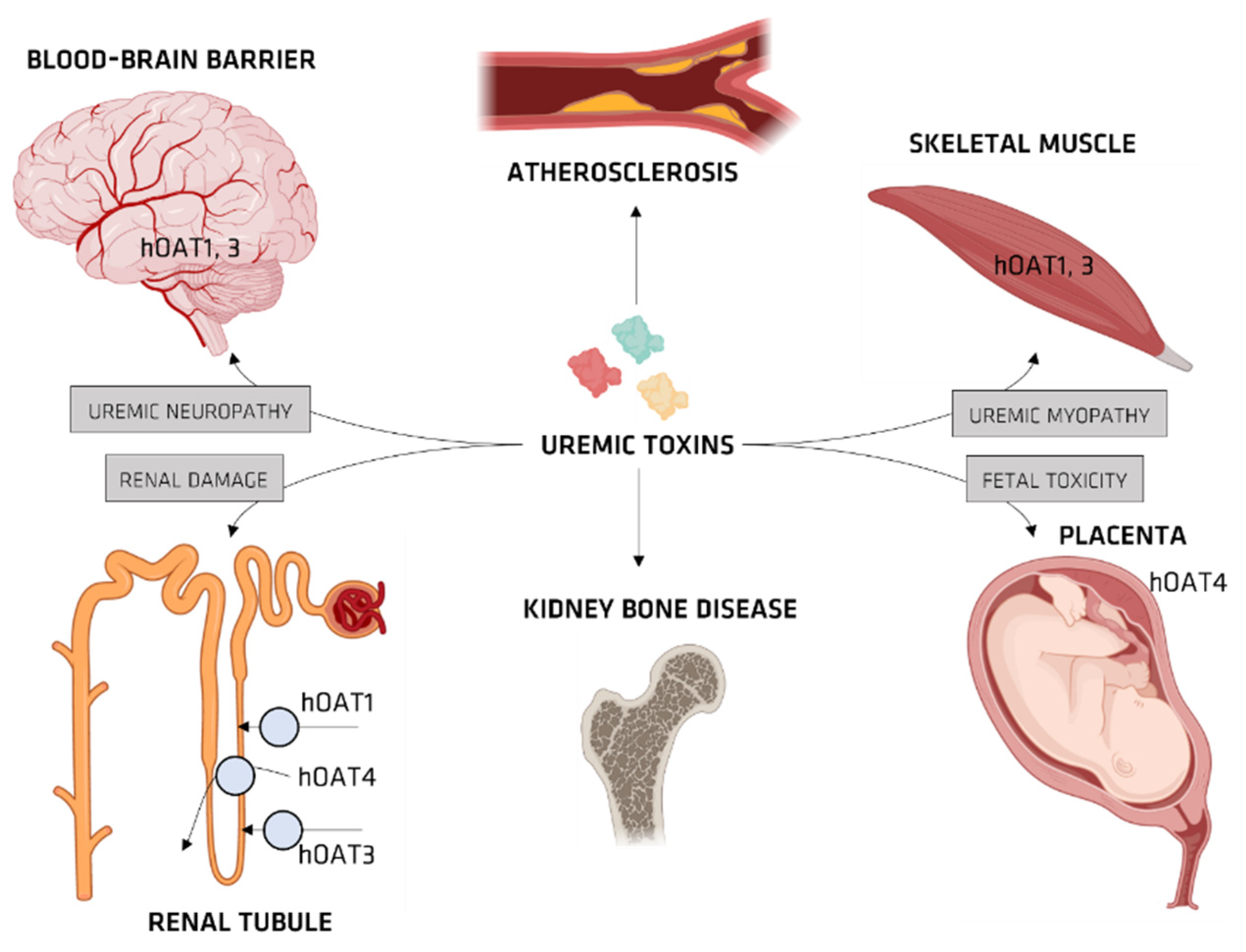 Membranes 12 00261 g008