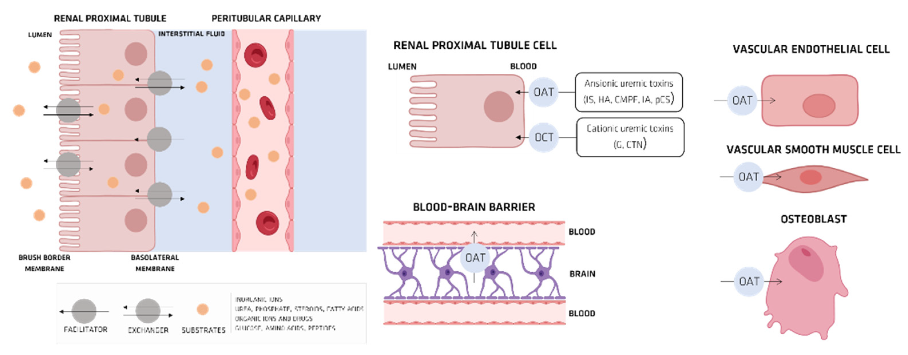 Membranes 12 00261 g009