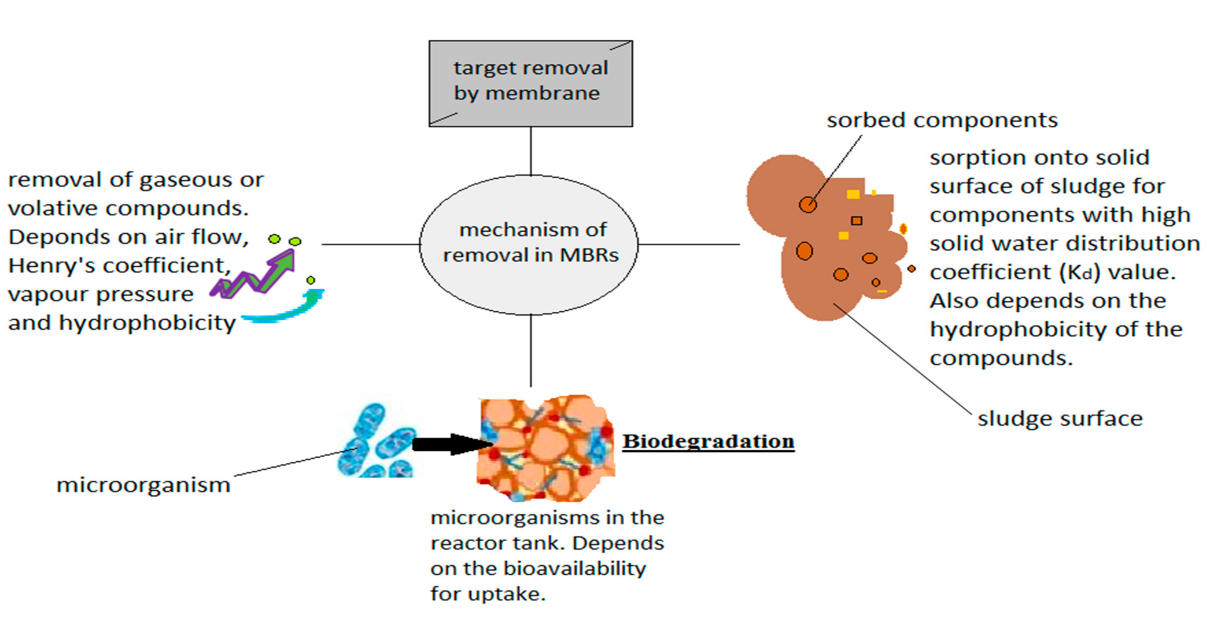 Membranes 12 00275 g005