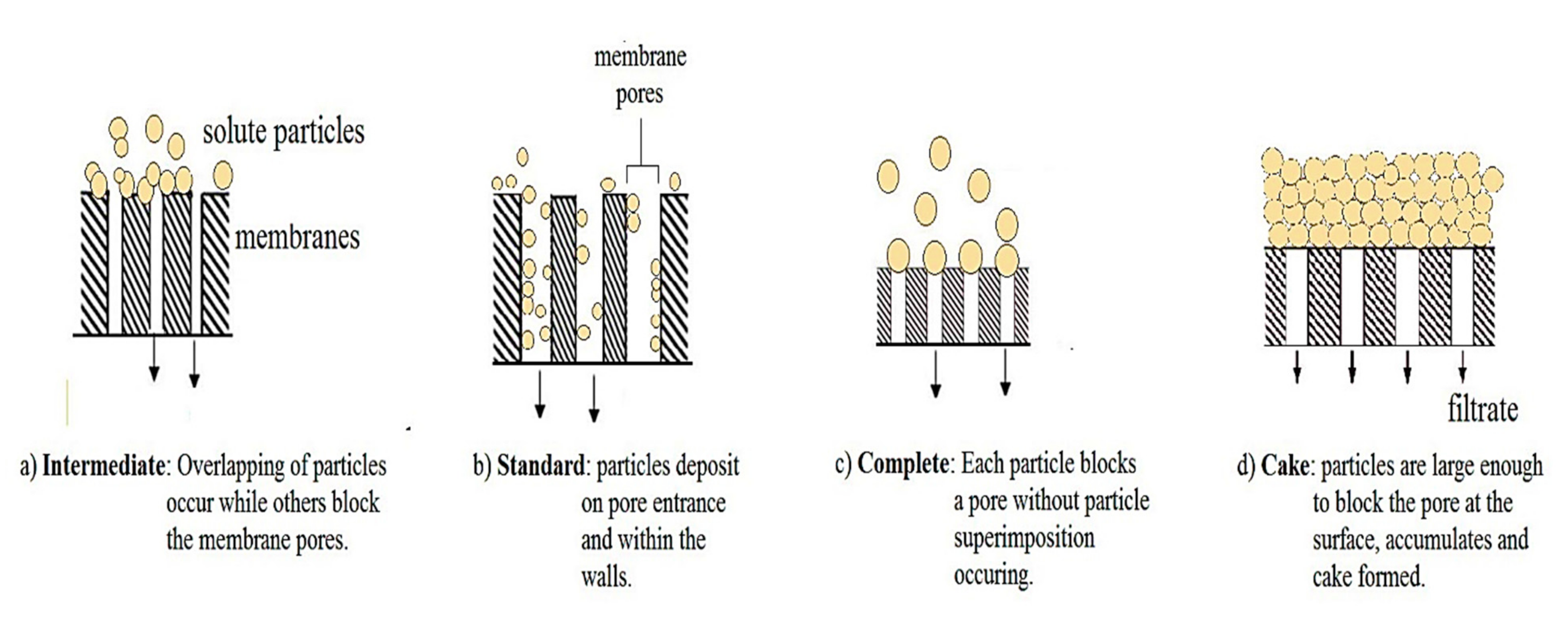 Membranes 12 00275 g006