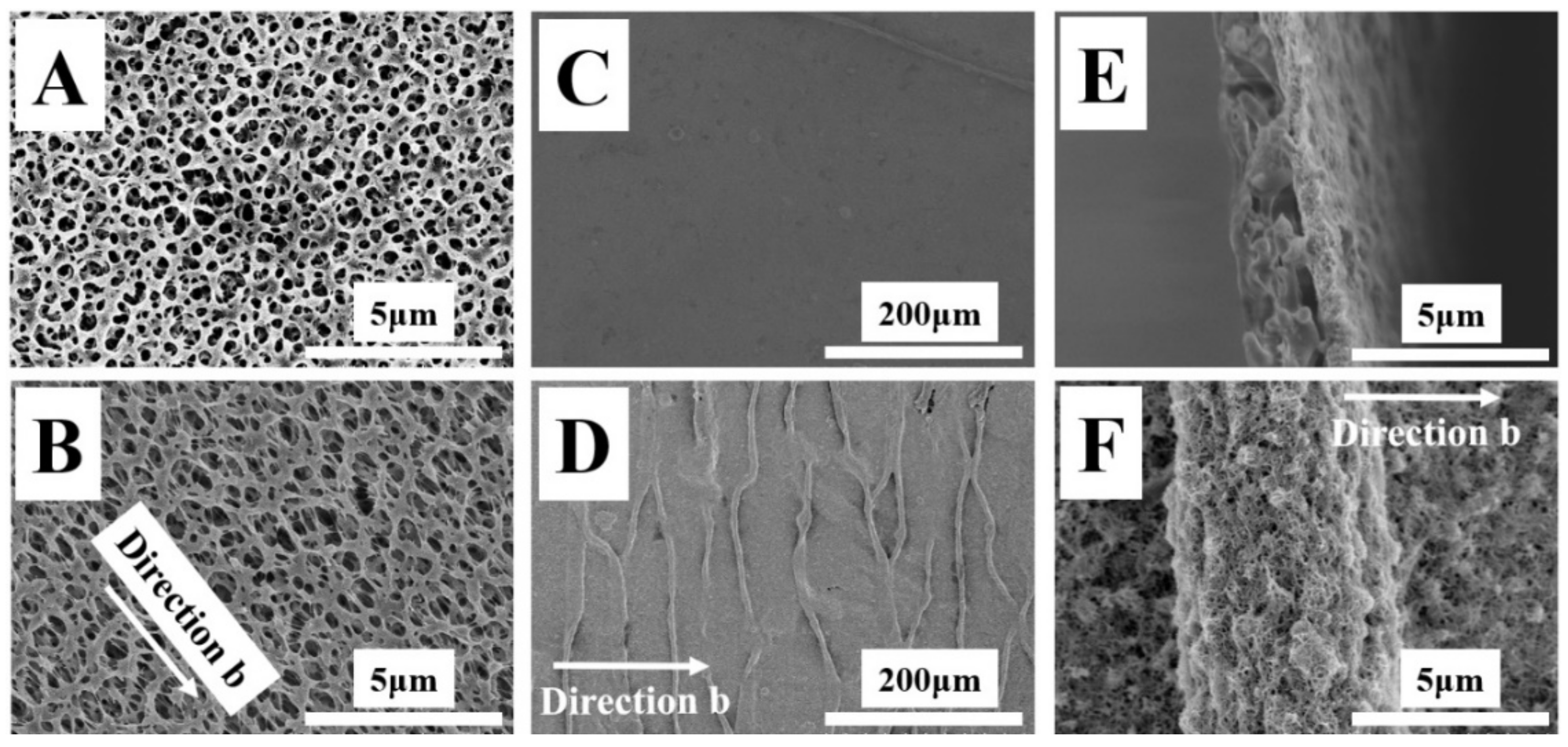 Membranes 12 00278 g001