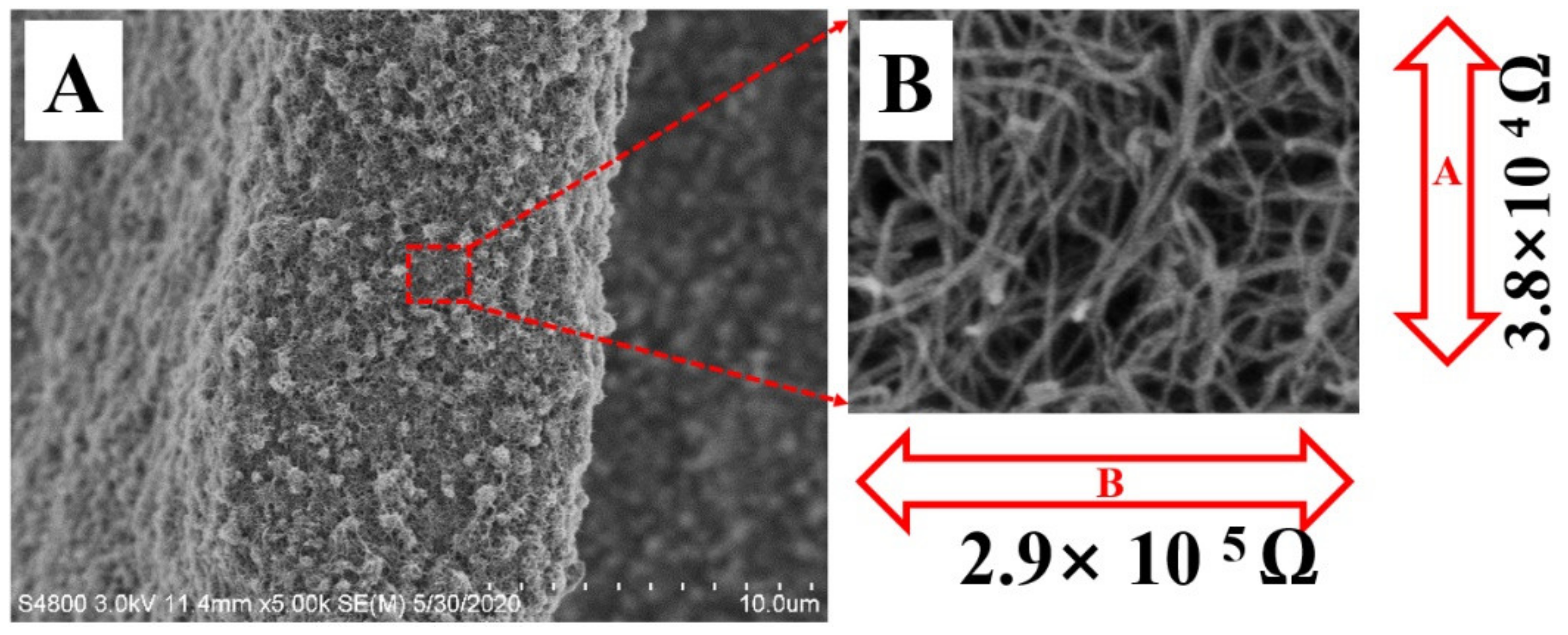 Membranes 12 00278 g004