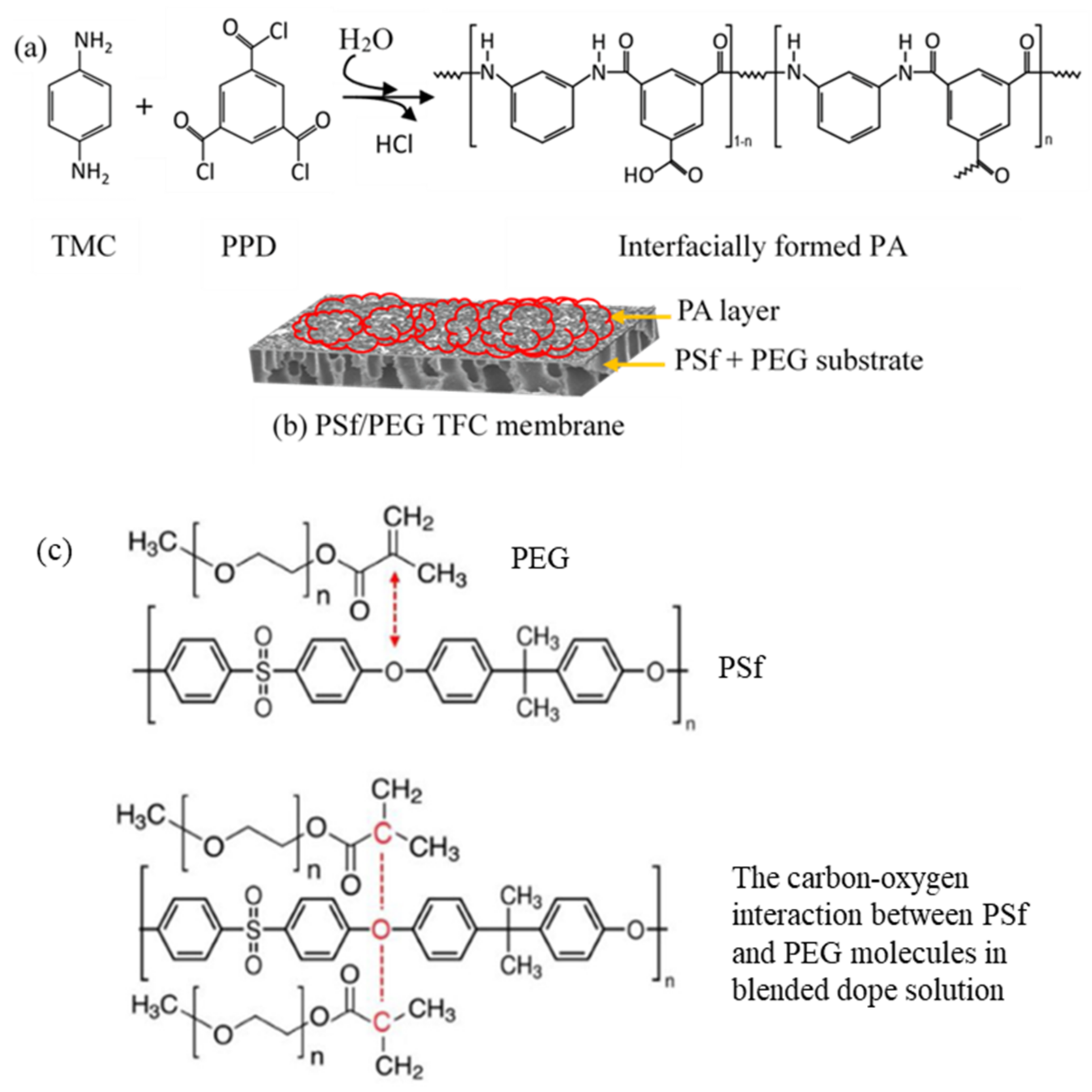 Membranes 12 00282 g004