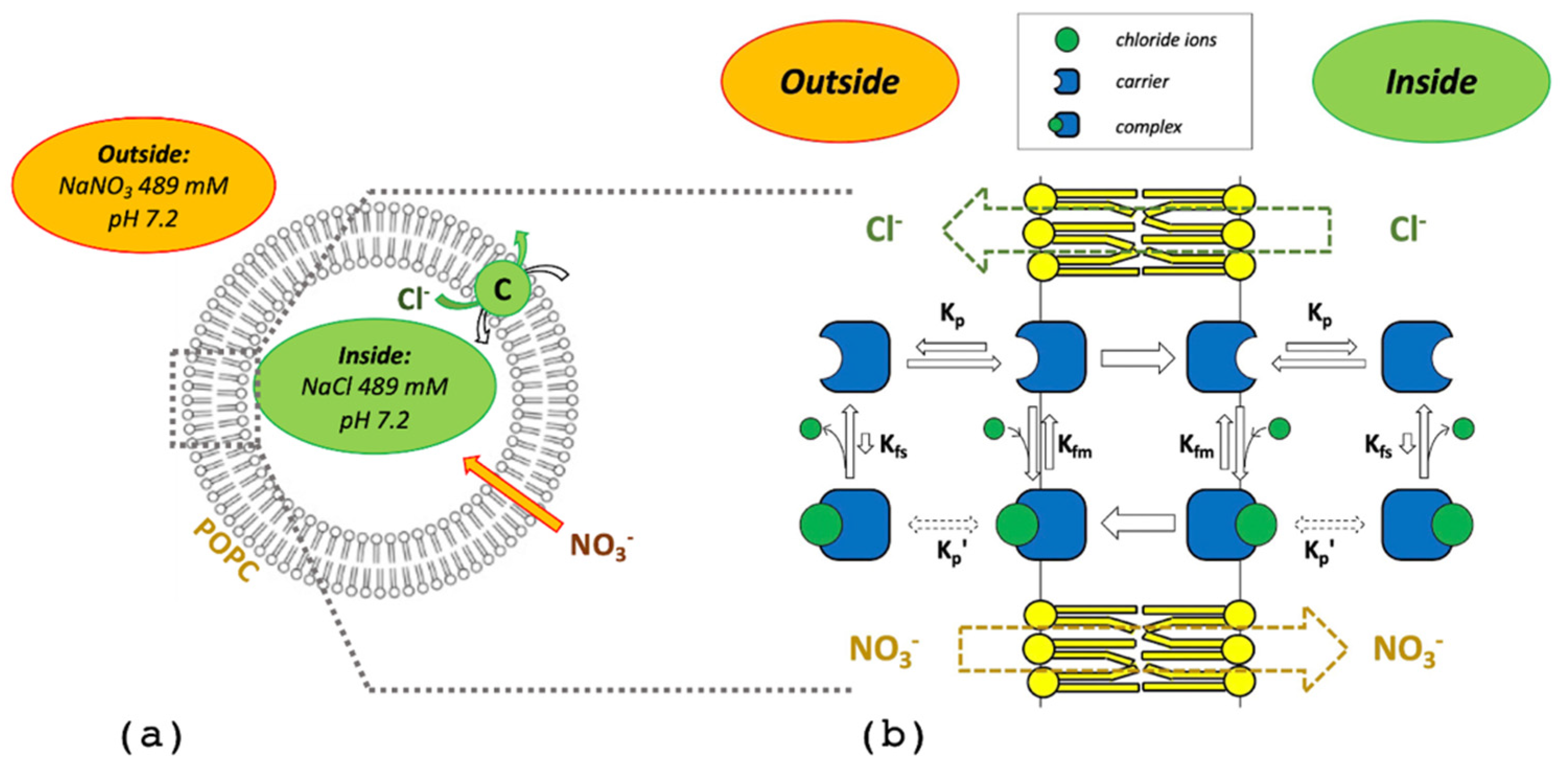 Membranes 12 00292 g001