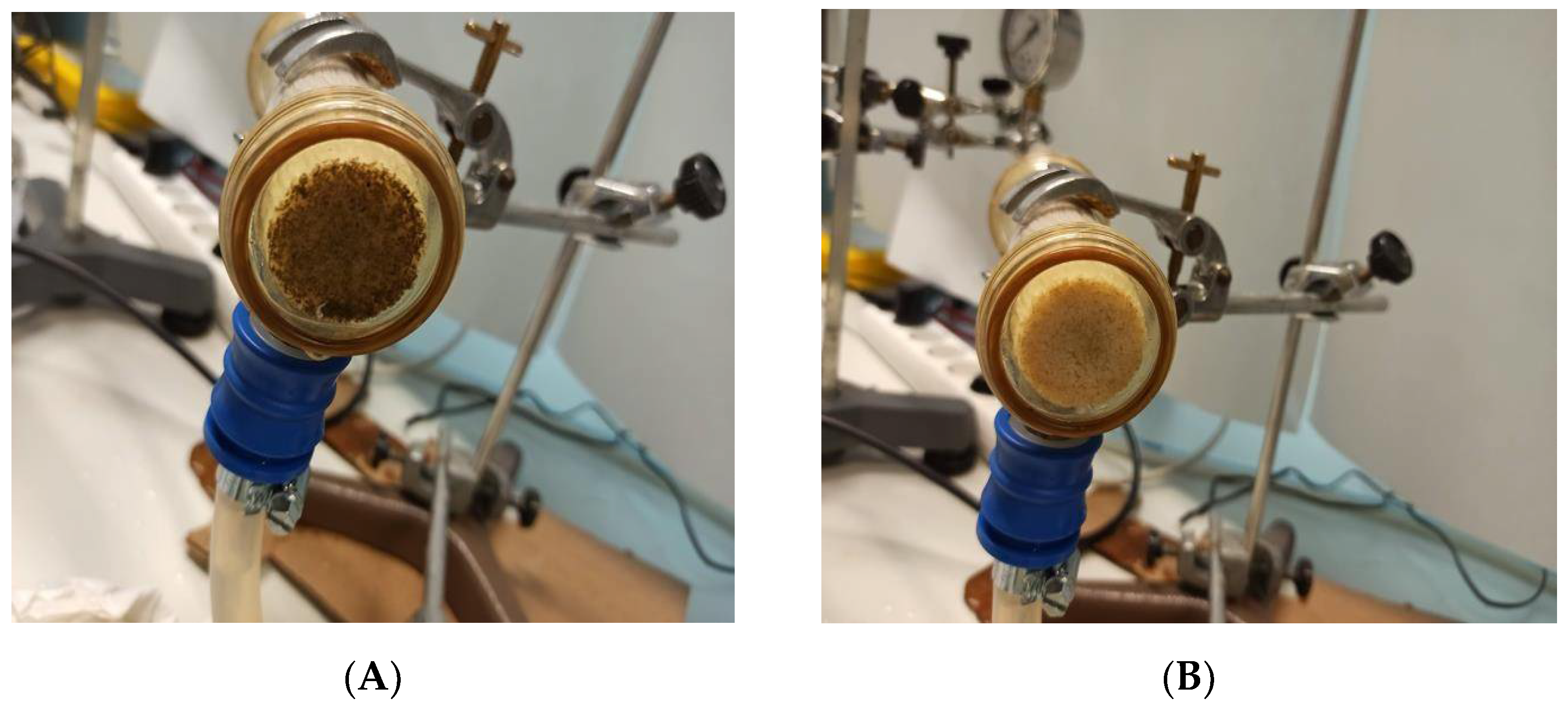 Membranes 12 00293 g003