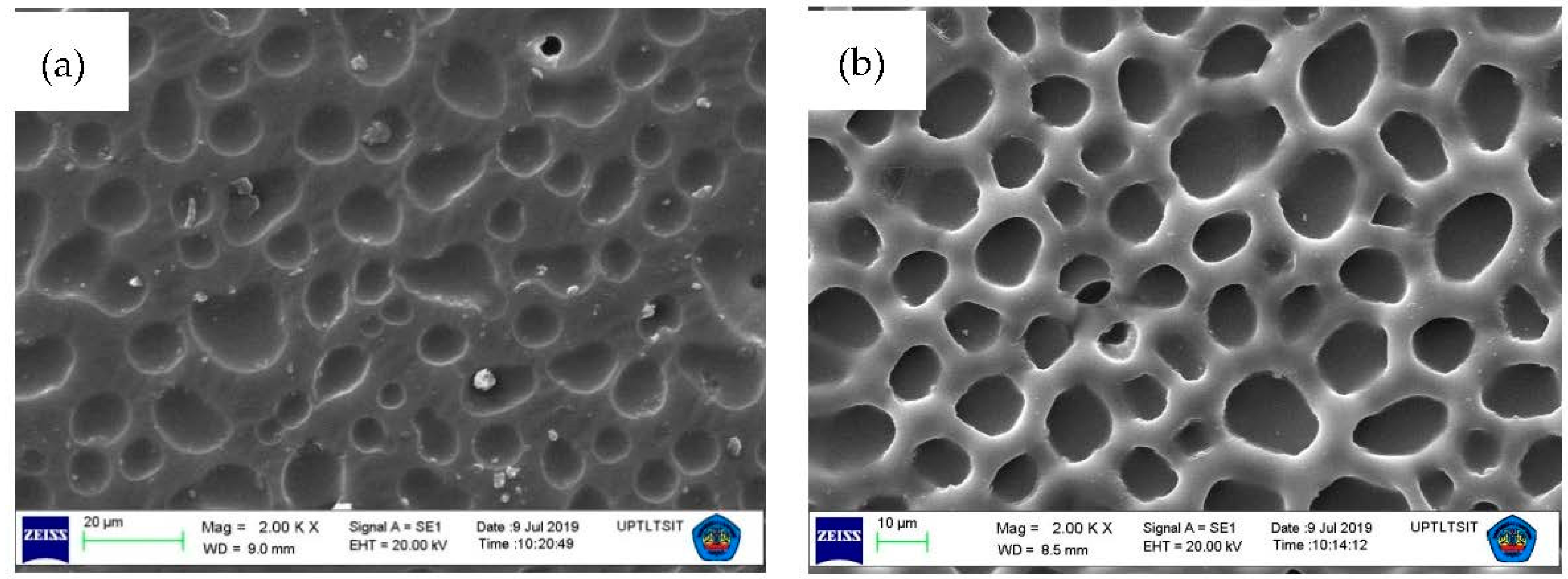 Membranes 12 00295 g010