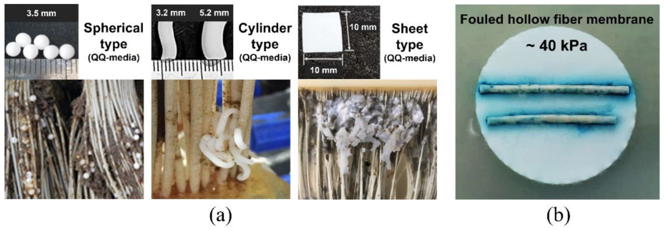 Membranes 12 00296 g001