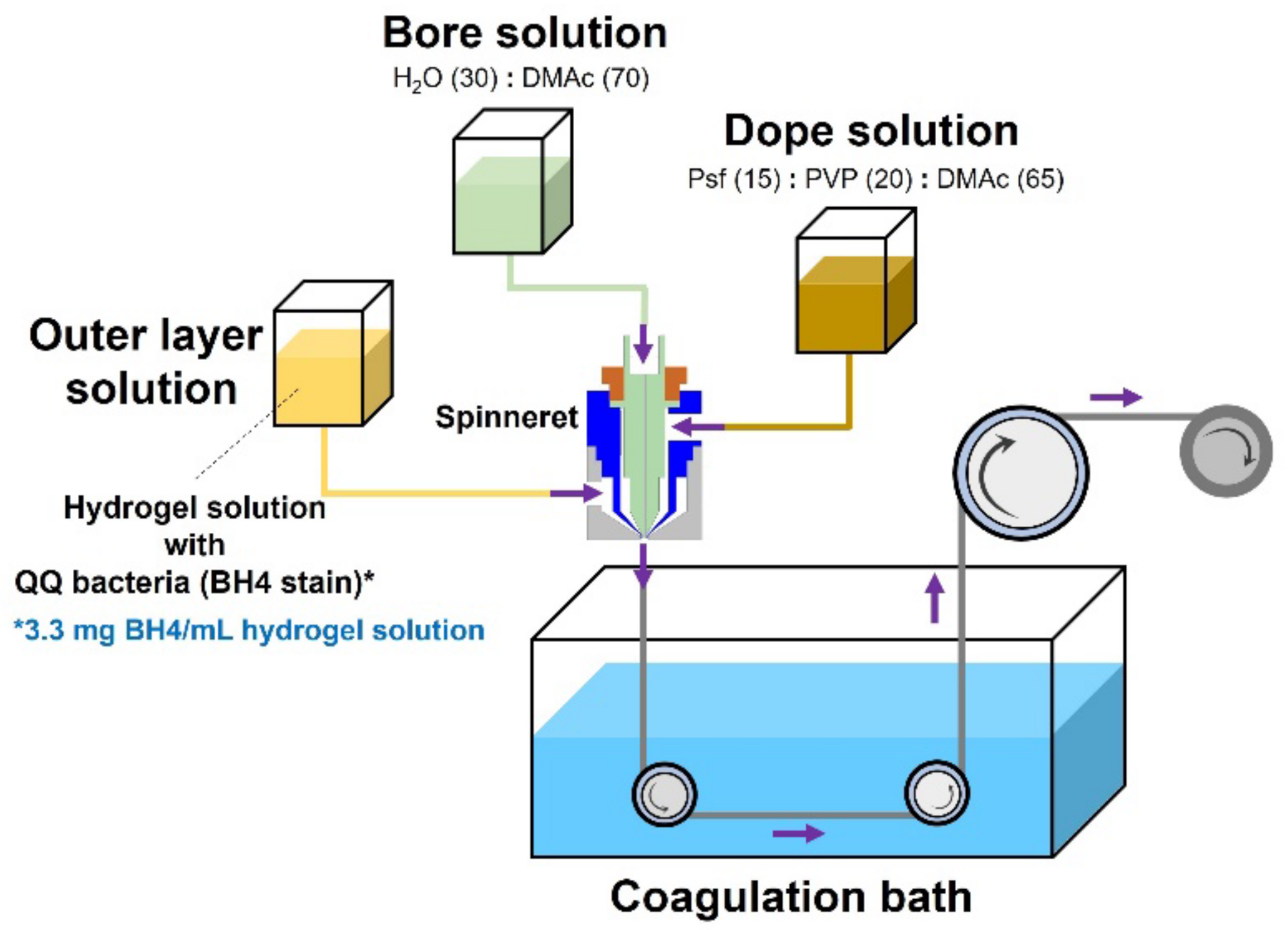 Membranes 12 00296 g002