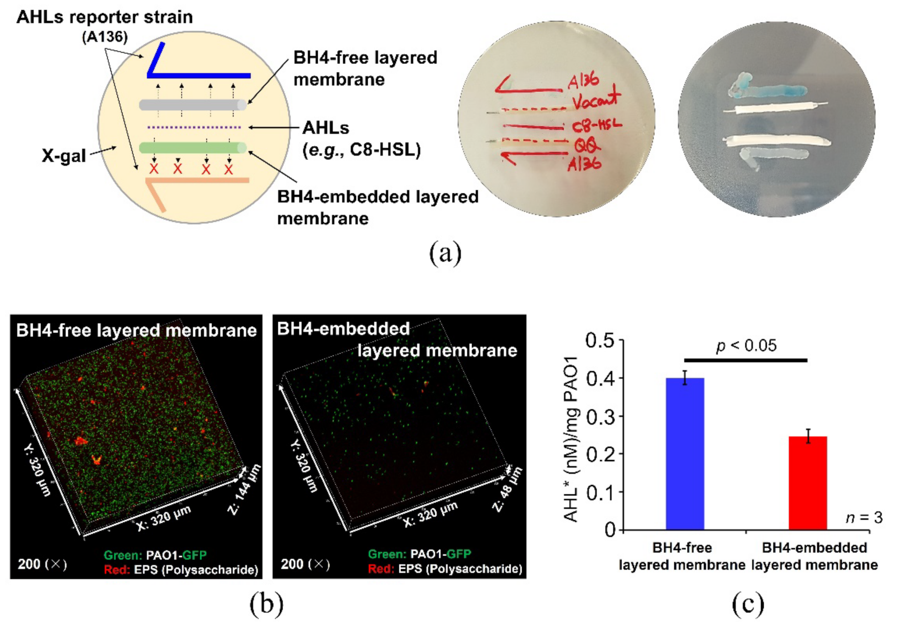Membranes 12 00296 g004