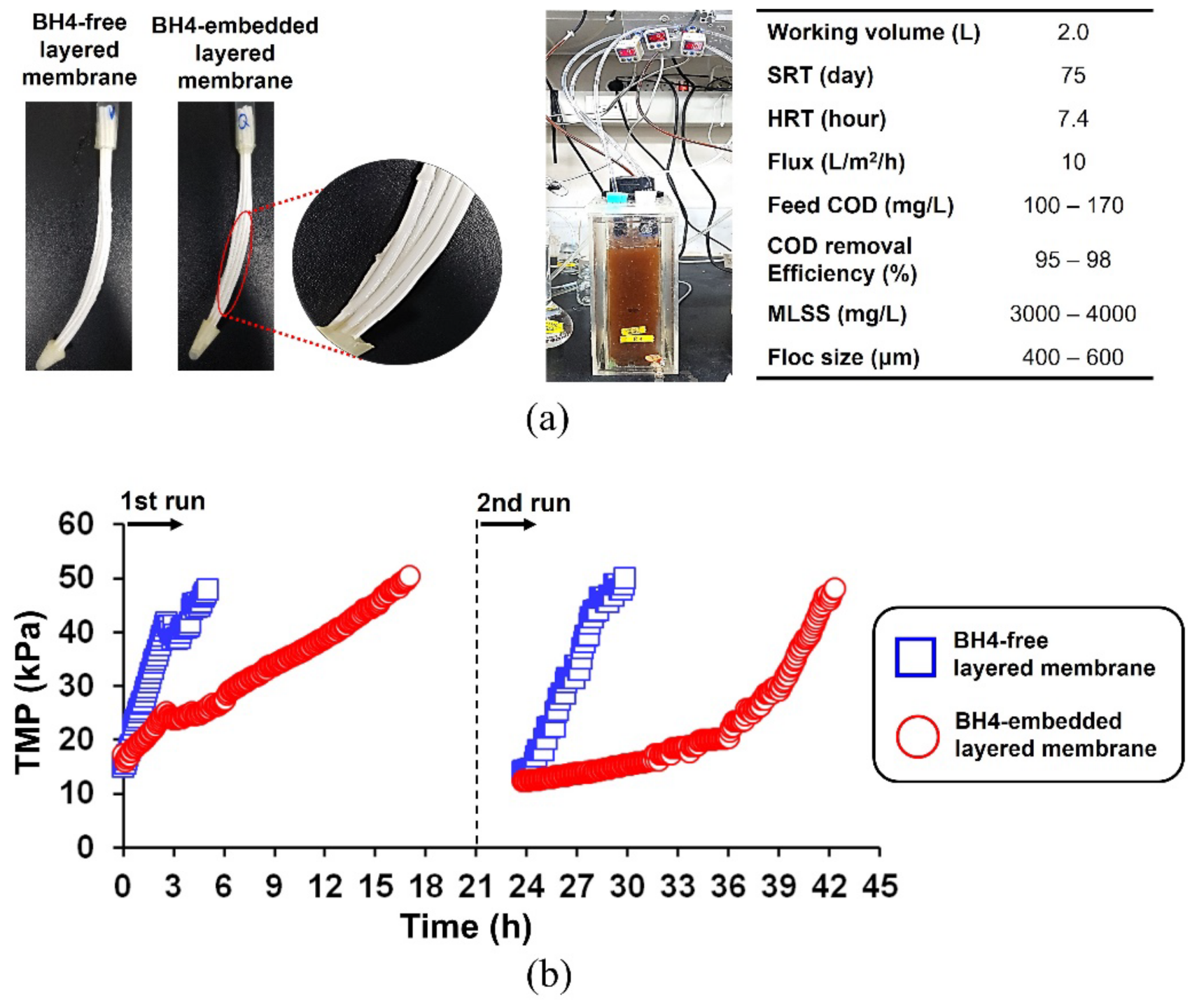 Membranes 12 00296 g005