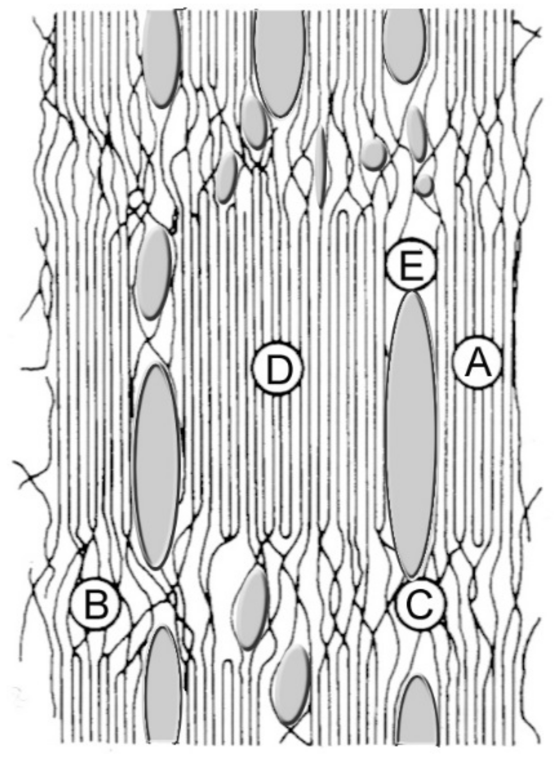 Membranes 12 00297 g005