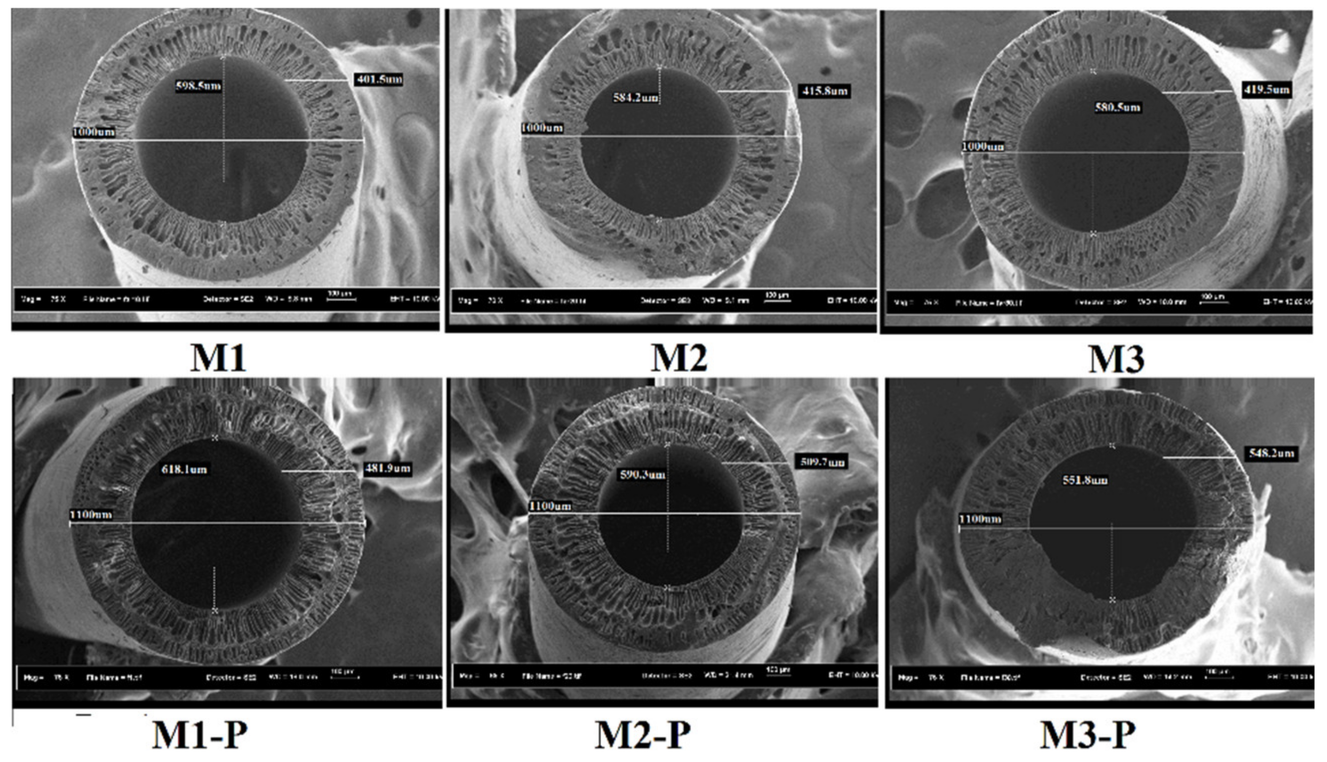 Membranes 12 00305 g003