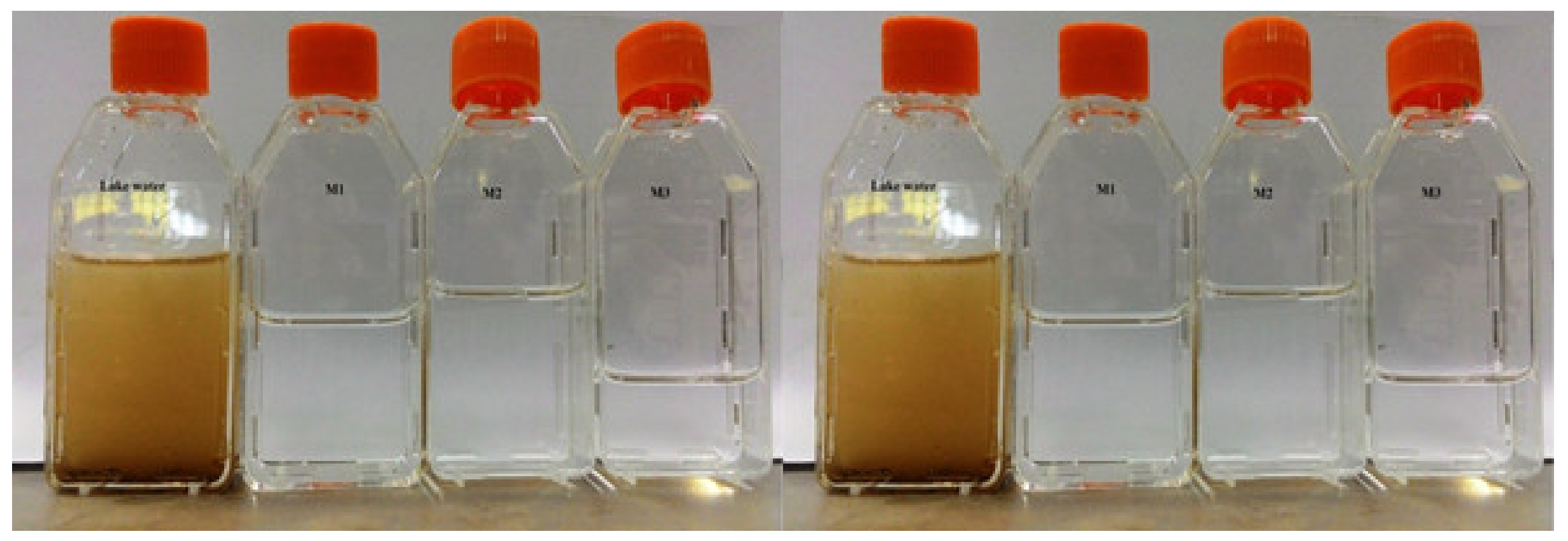 Membranes 12 00305 g008