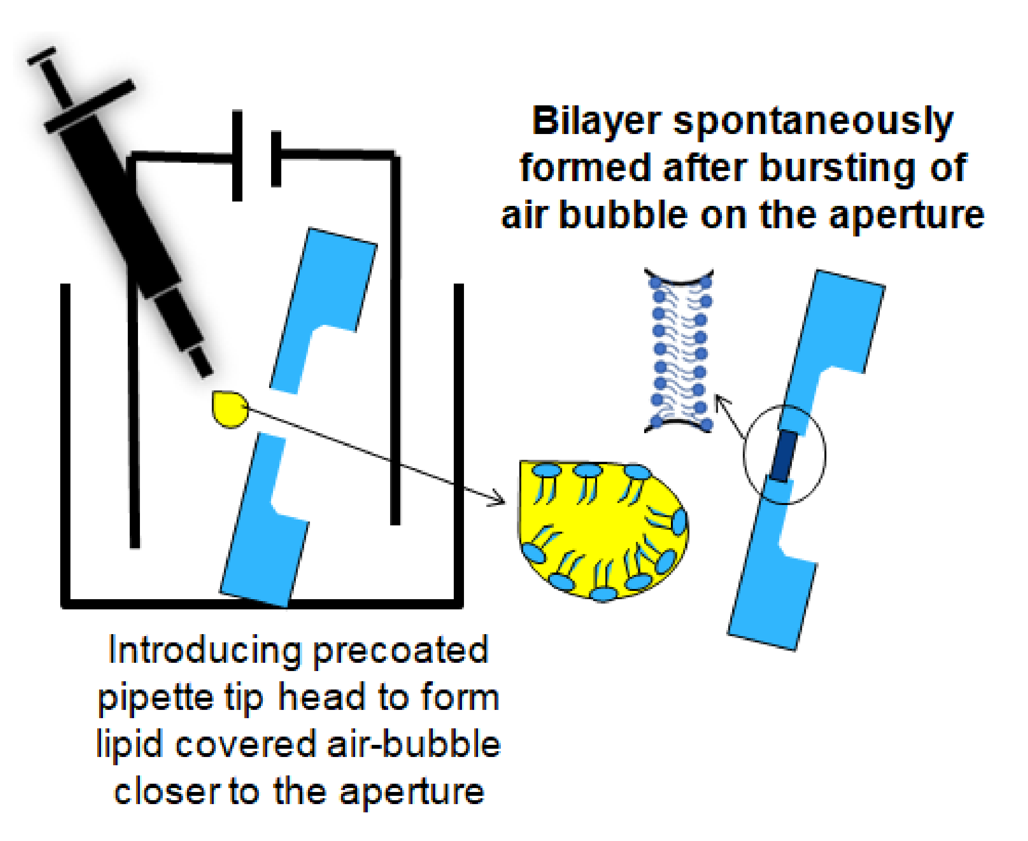 Membranes 12 00309 g002