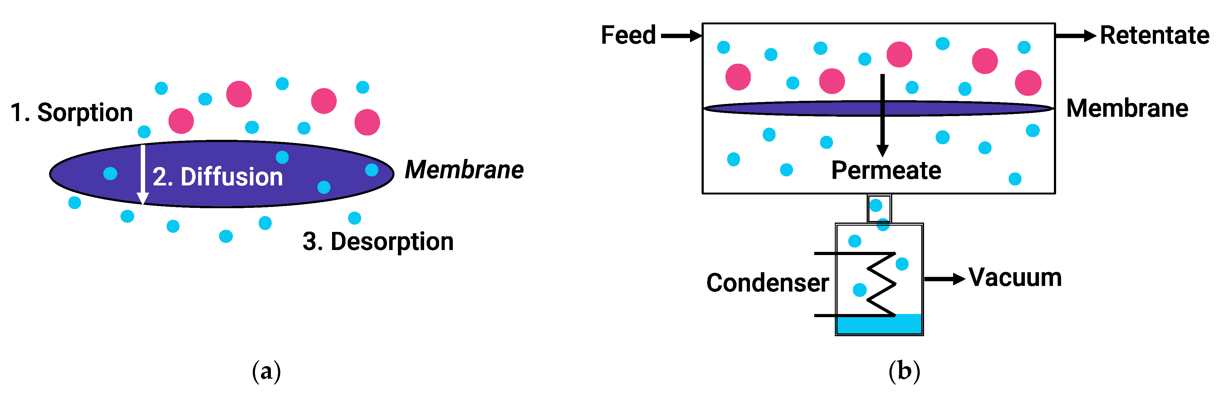 Membranes 12 00312 g002 Membranes 12 00312 g002