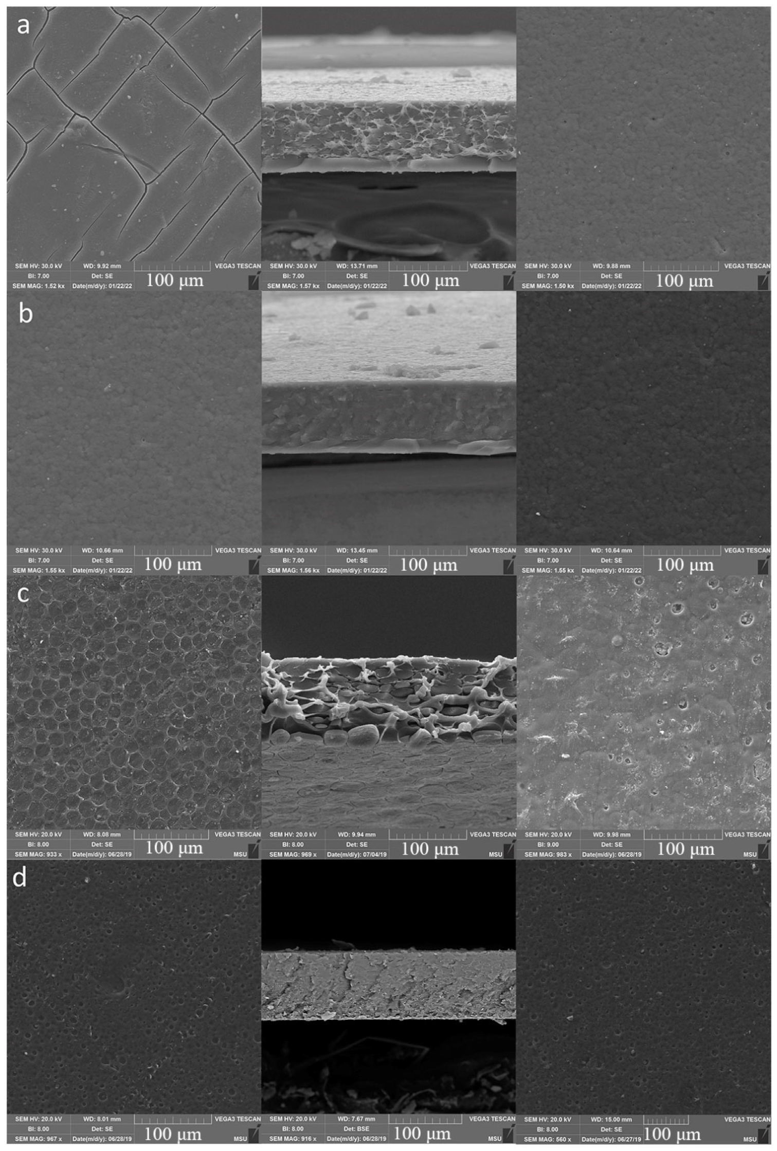 Membranes 12 00316 g004 Membranes 12 00316 g004