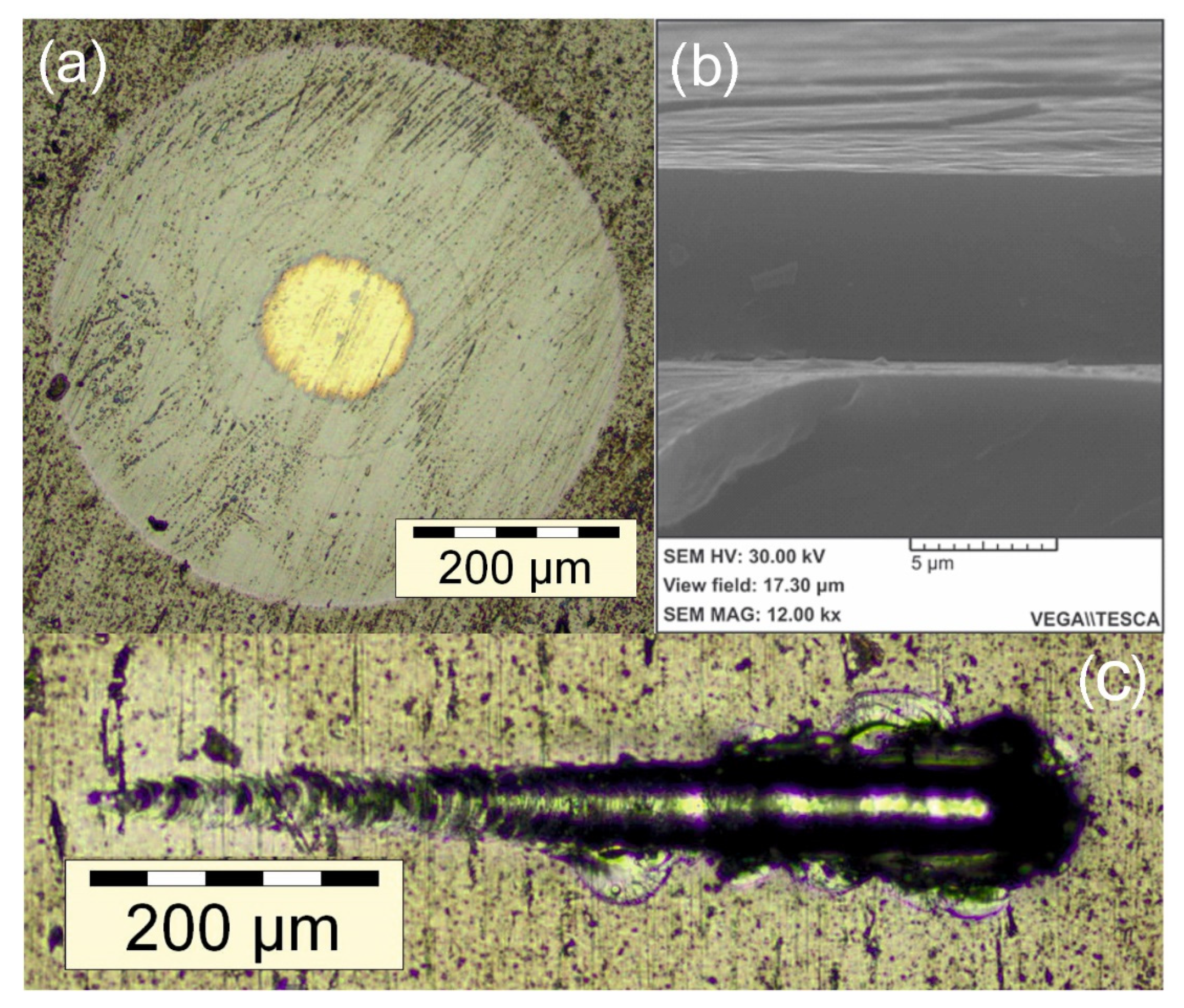 Membranes 12 00321 g009