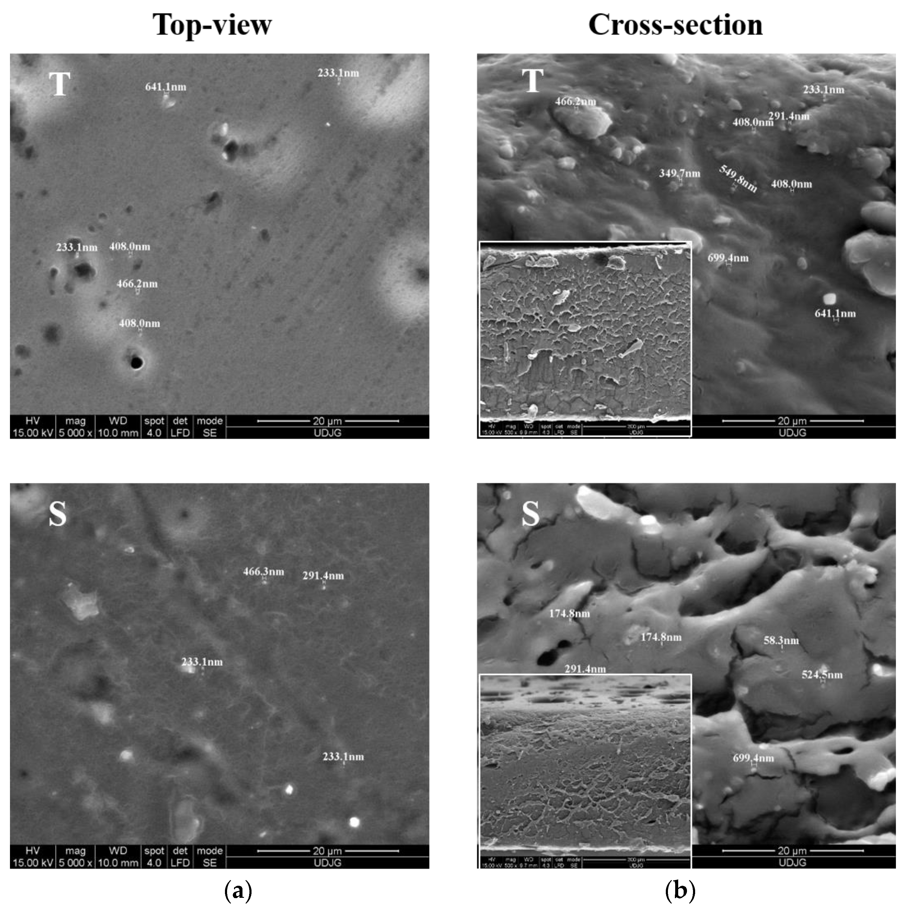 Membranes 12 00326 g003