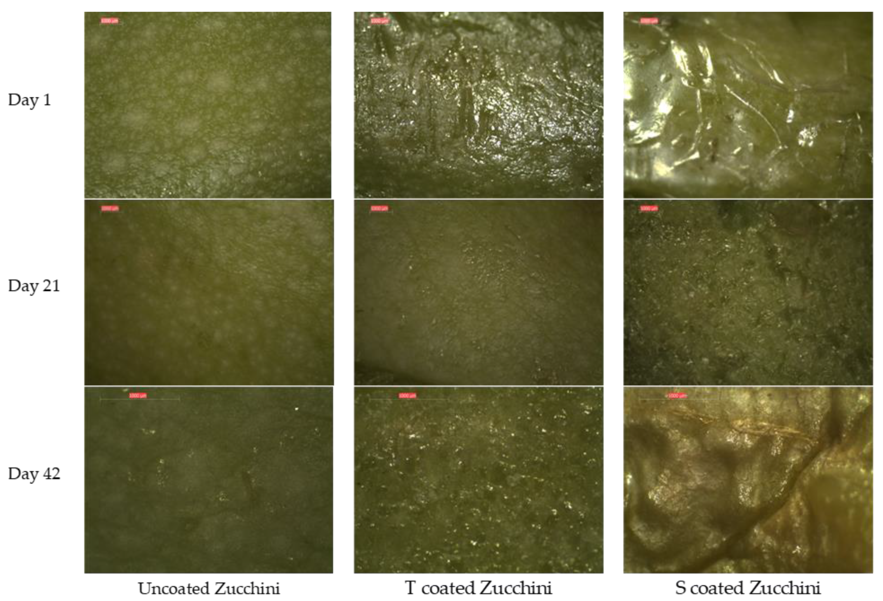 Membranes 12 00326 g010