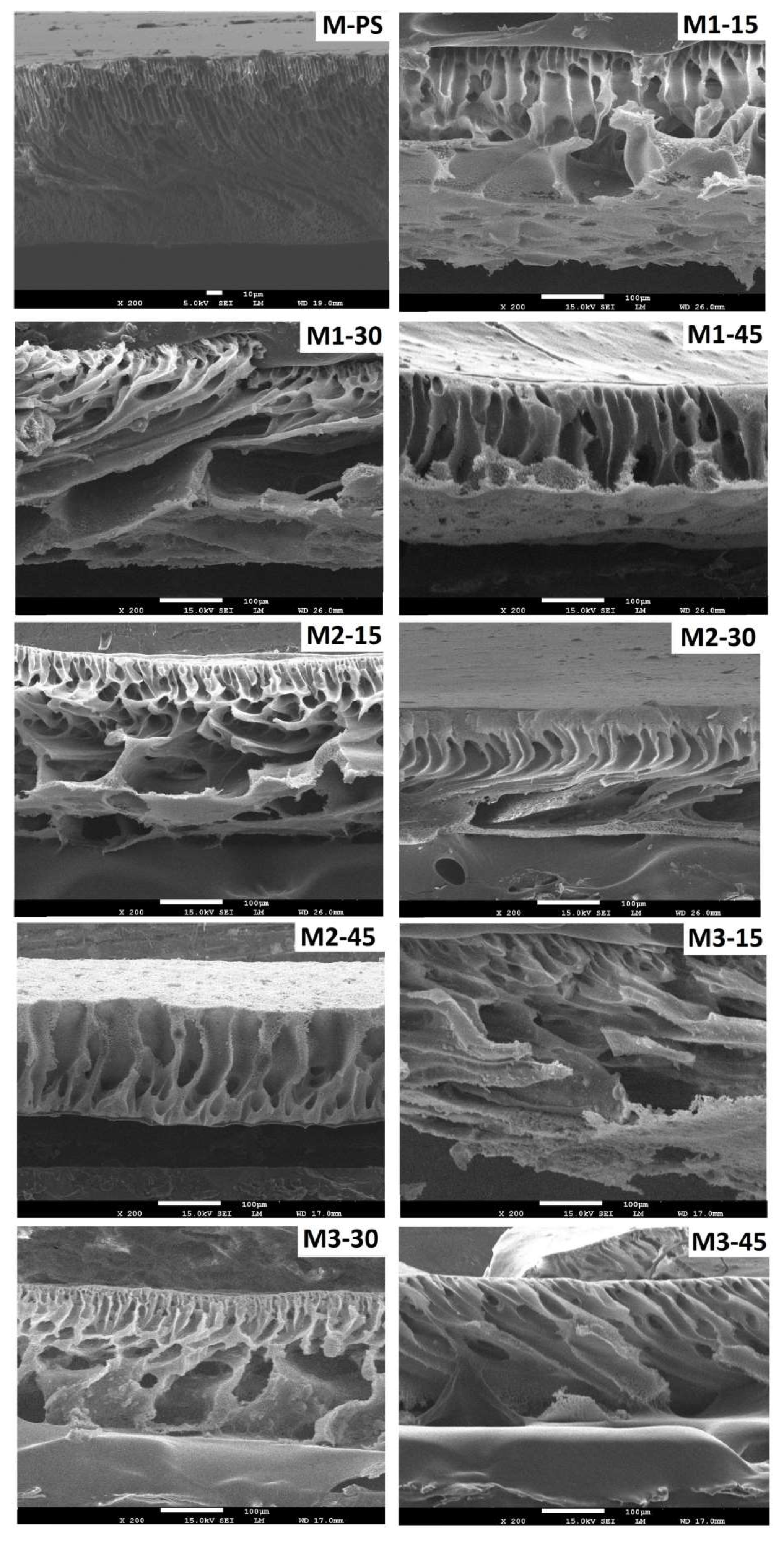 Membranes 12 00329 g005 Membranes 12 00329 g005