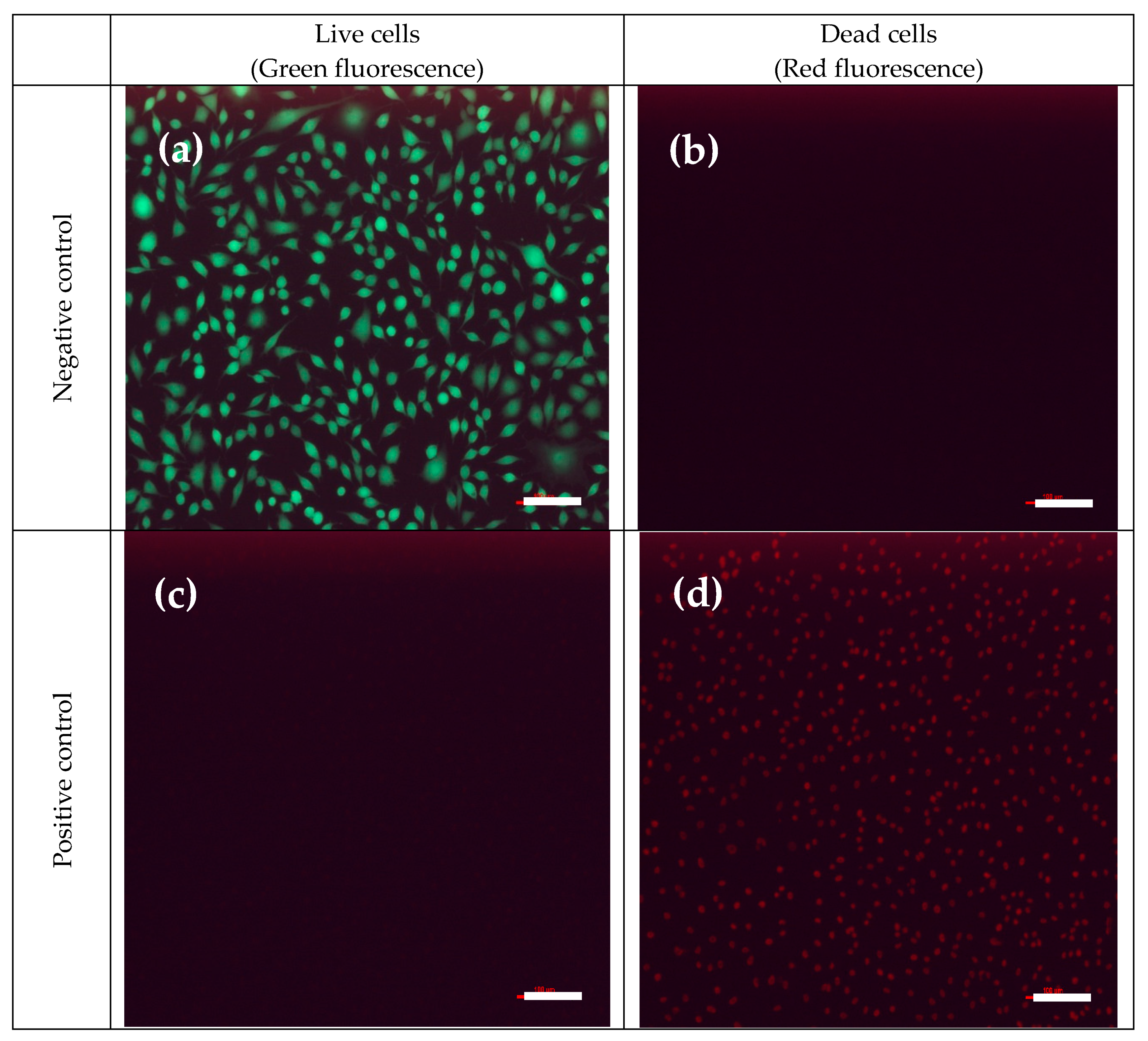 Membranes 12 00332 g011a