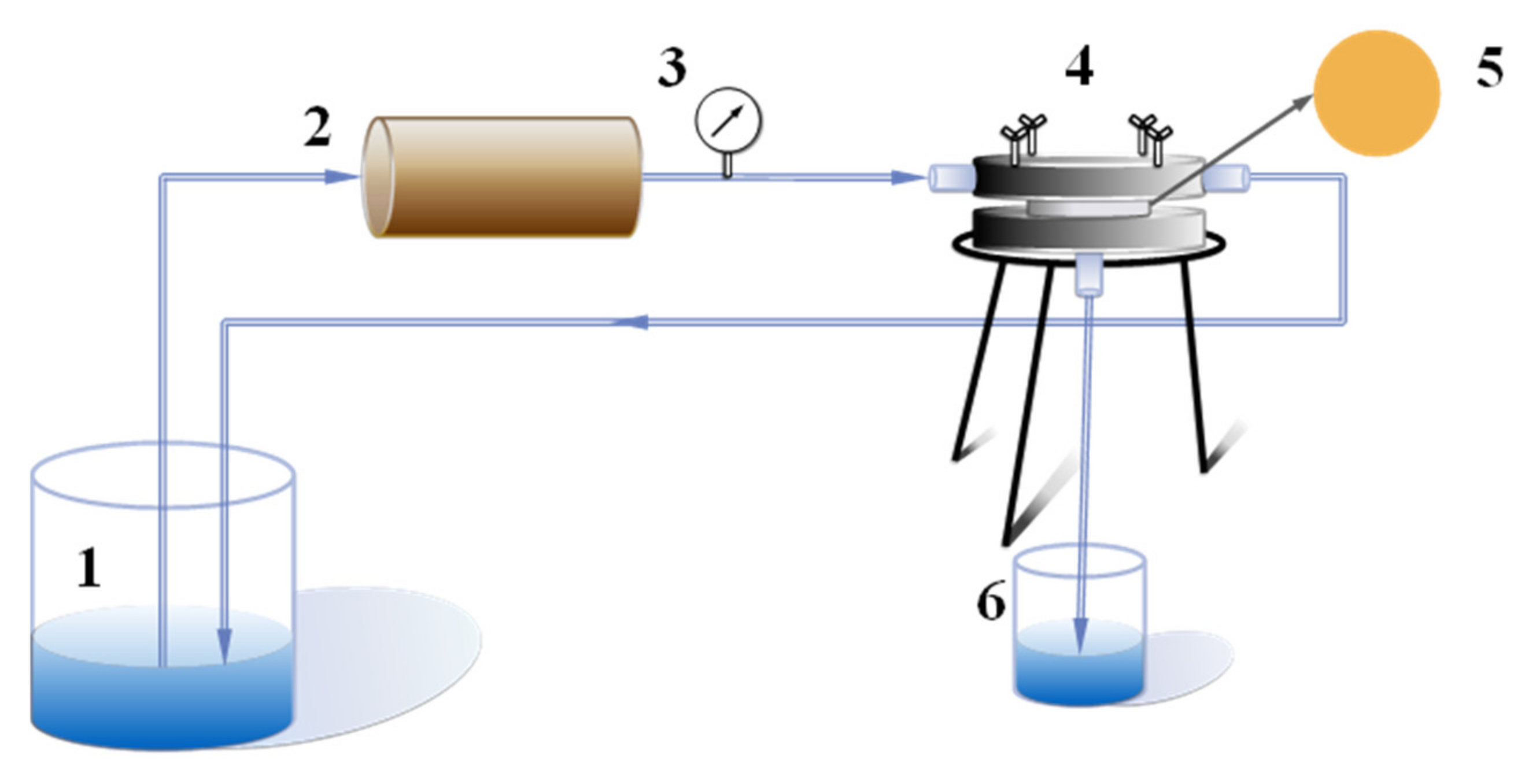 Membranes 12 00340 g001