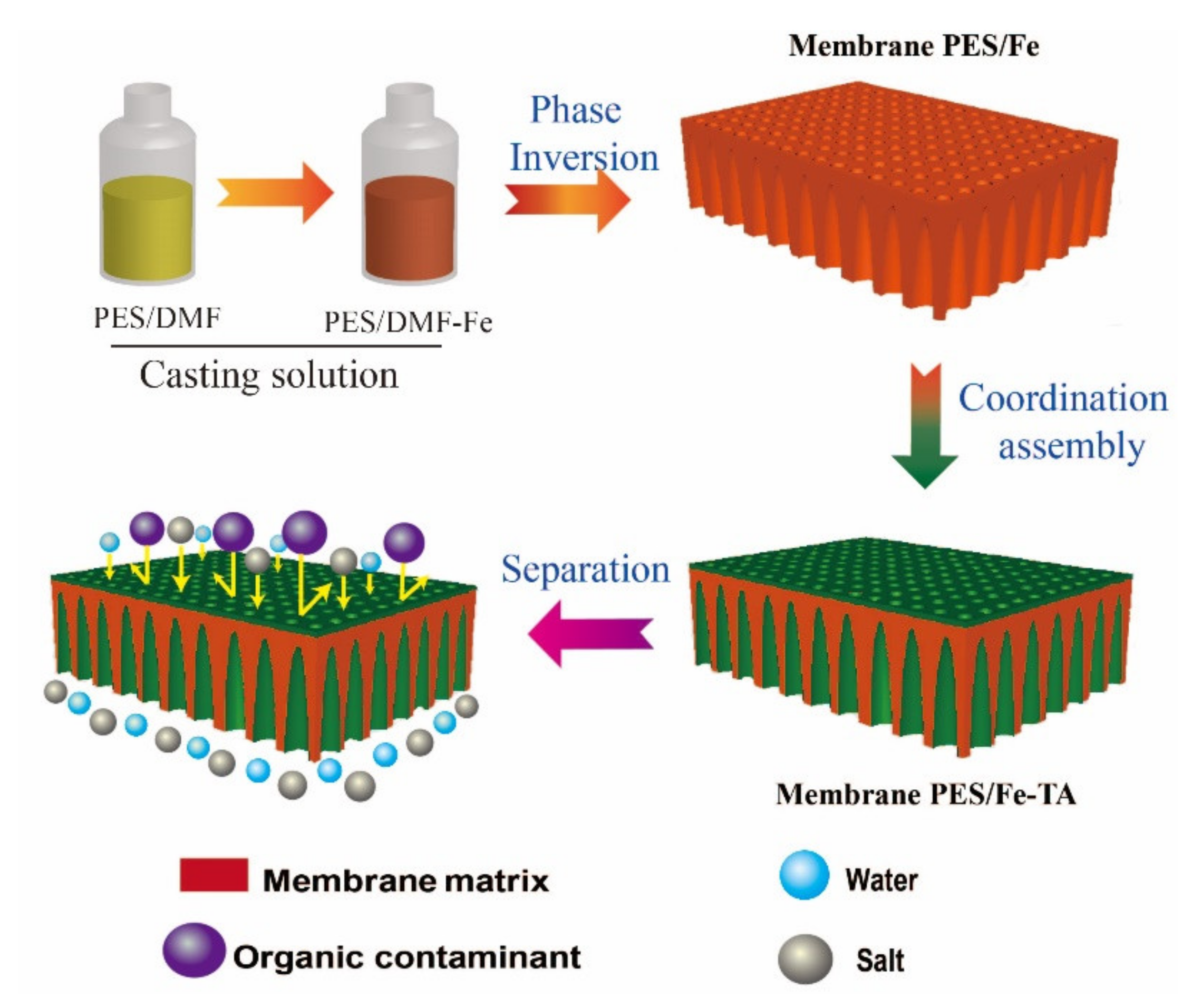 Membranes 12 00340 g002
