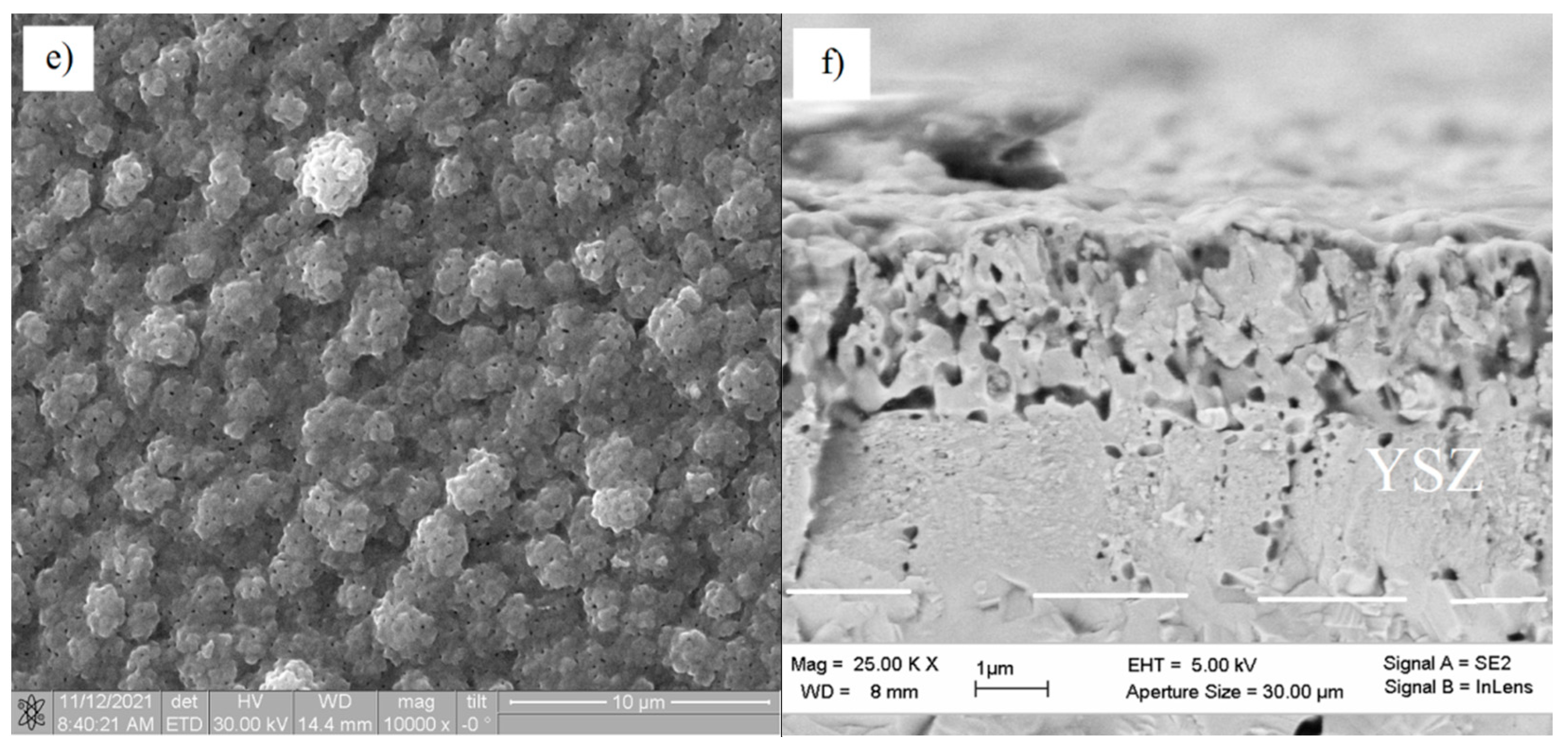 Membranes 12 00346 g006b