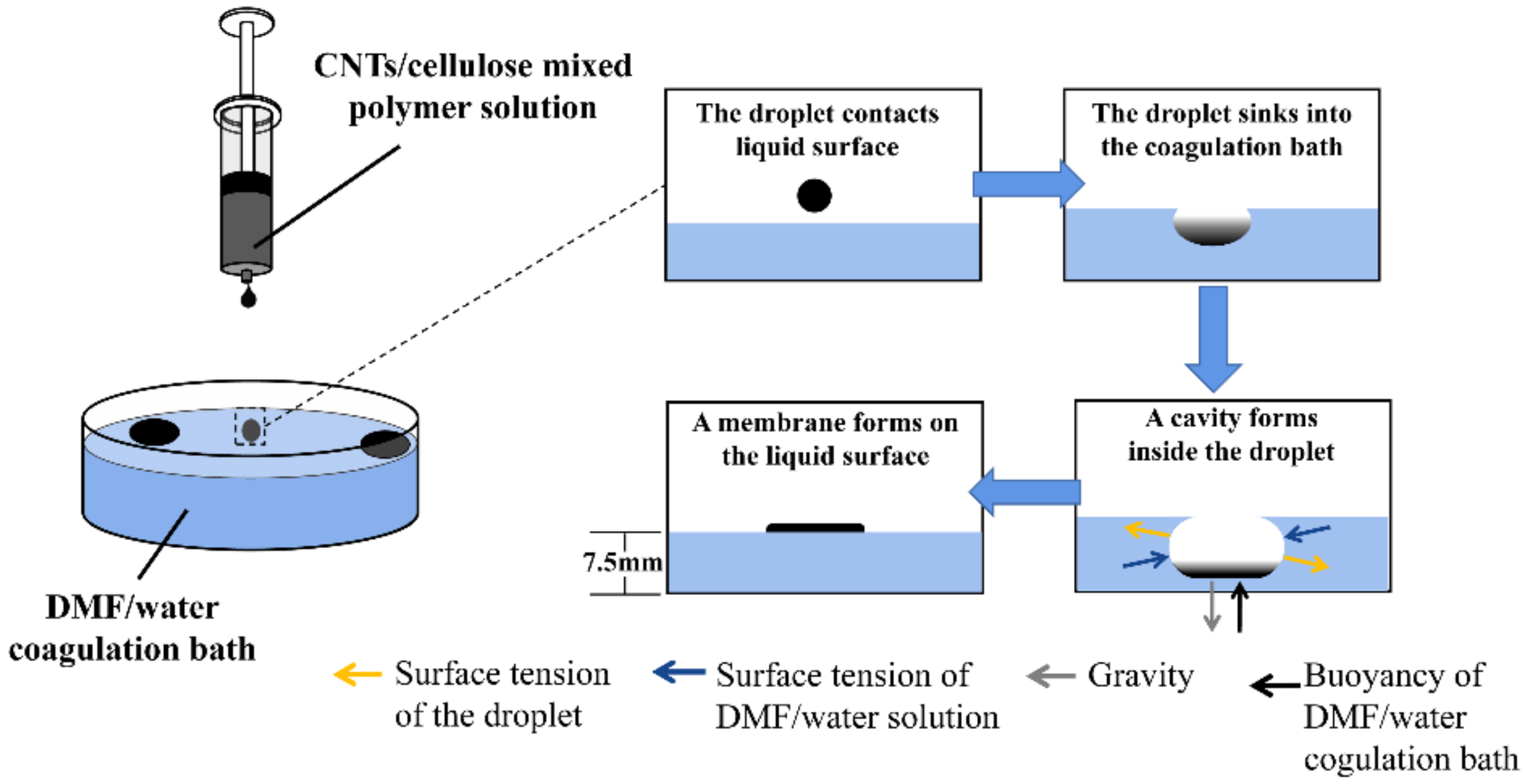 Membranes 12 00369 g001