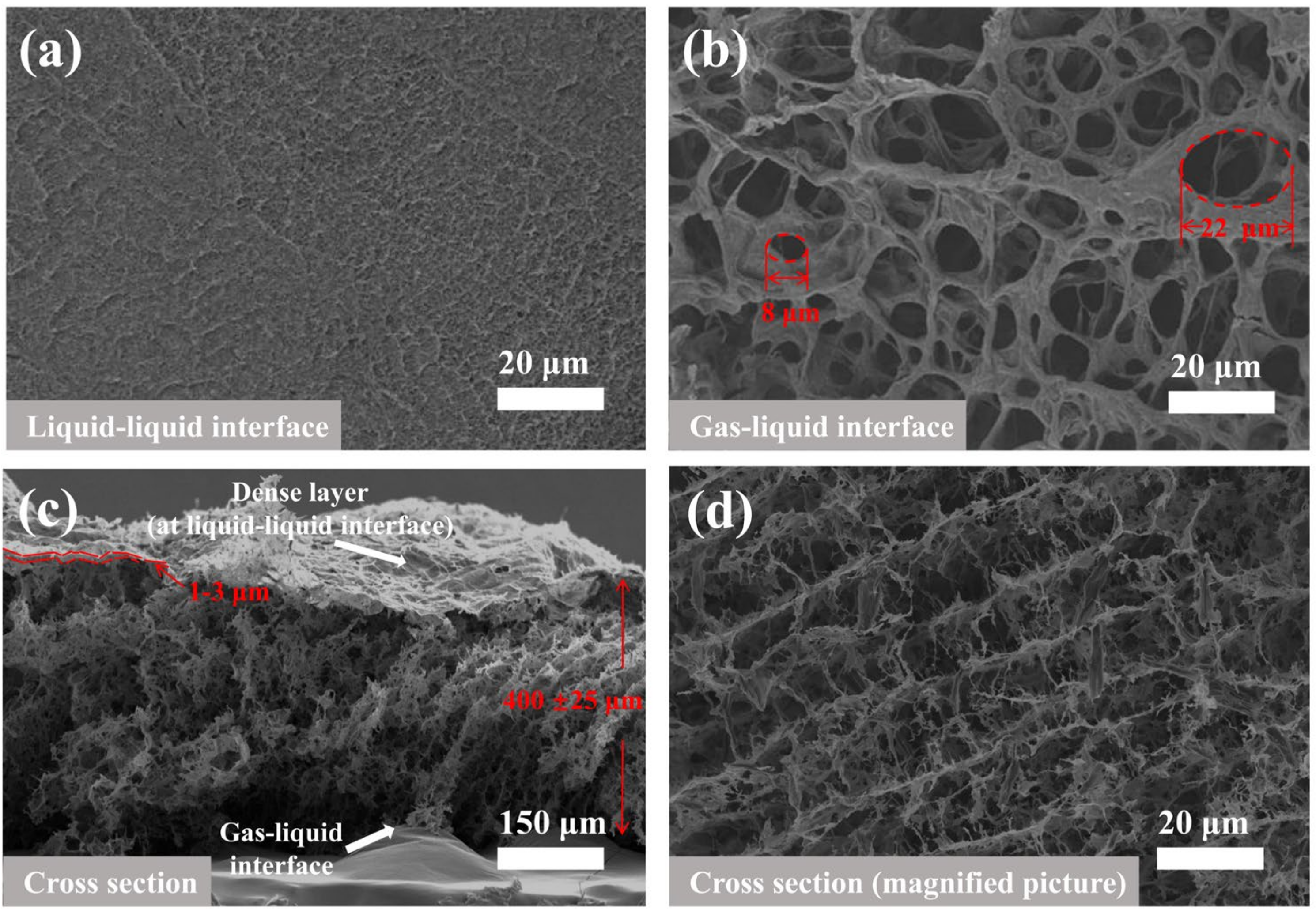 Membranes 12 00369 g004
