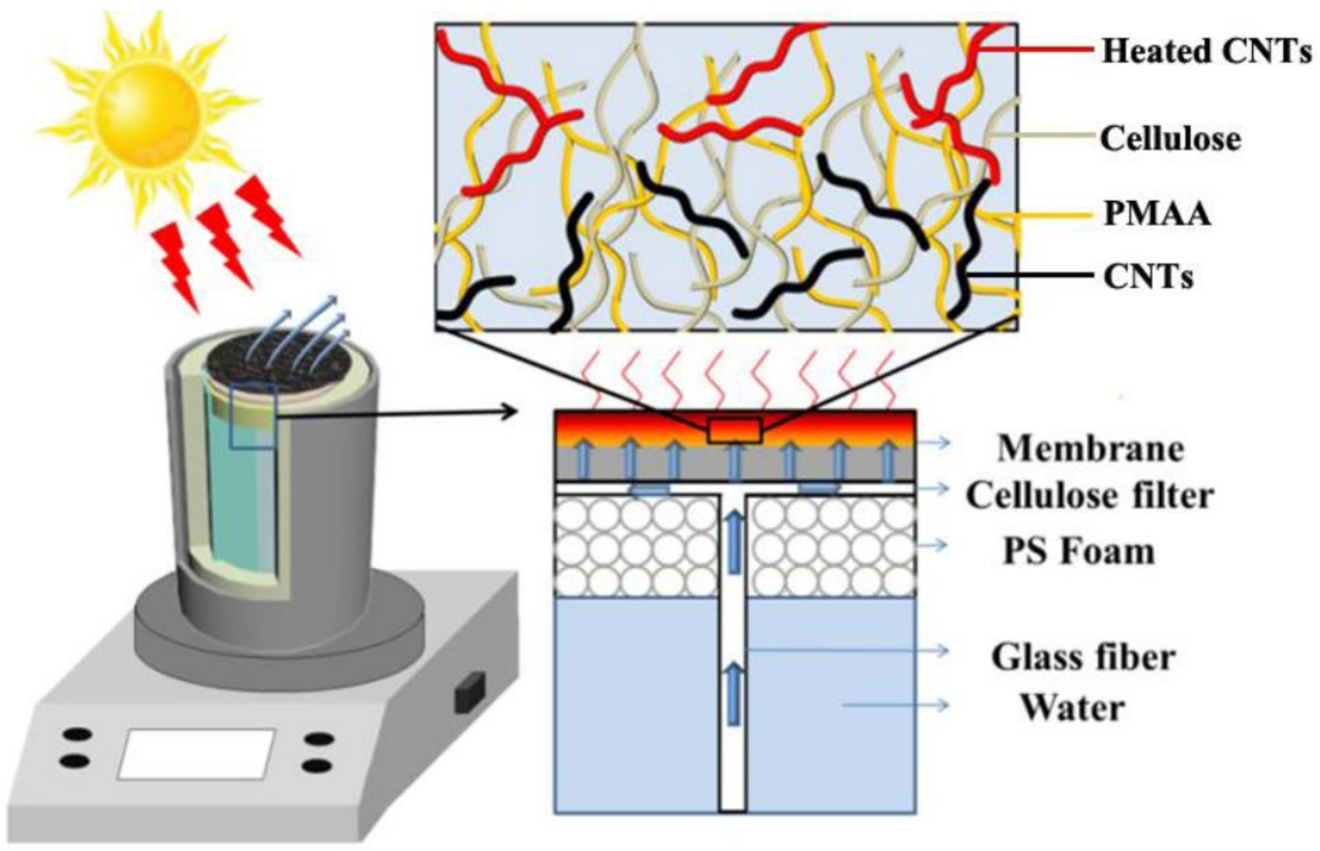 Membranes 12 00369 g006