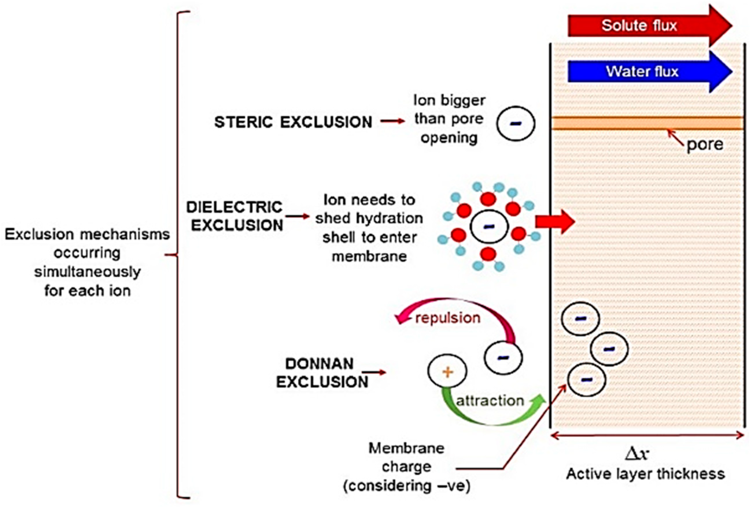 Membranes 12 00373 g007