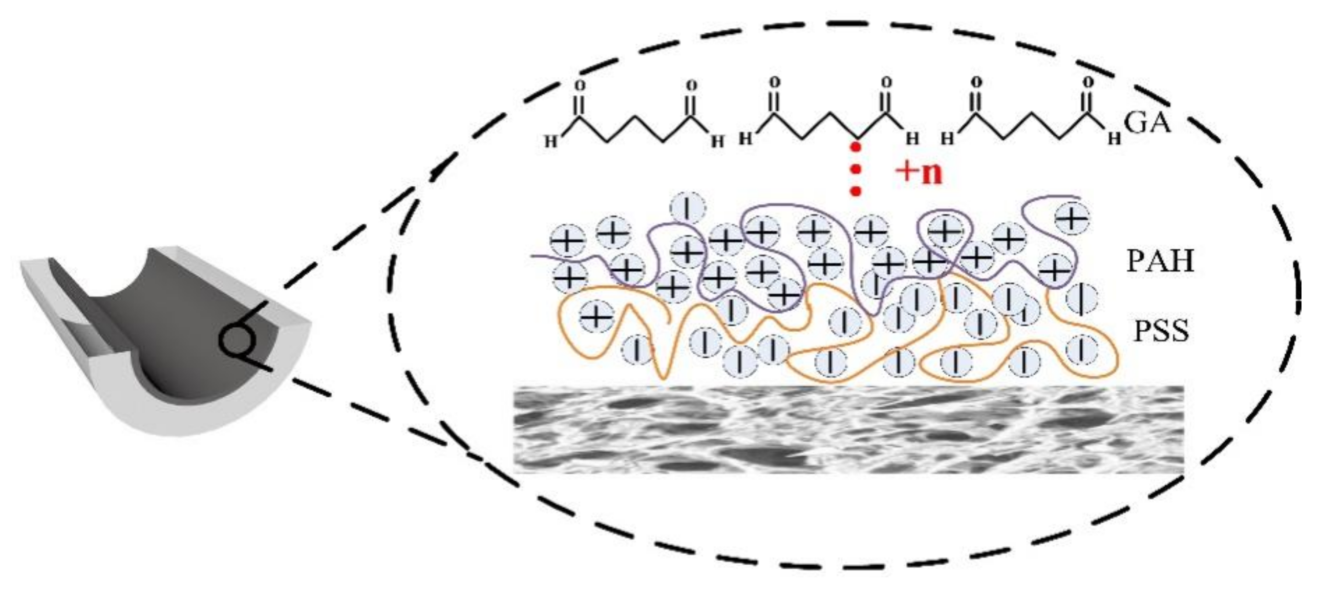 Membranes 12 00374 g001