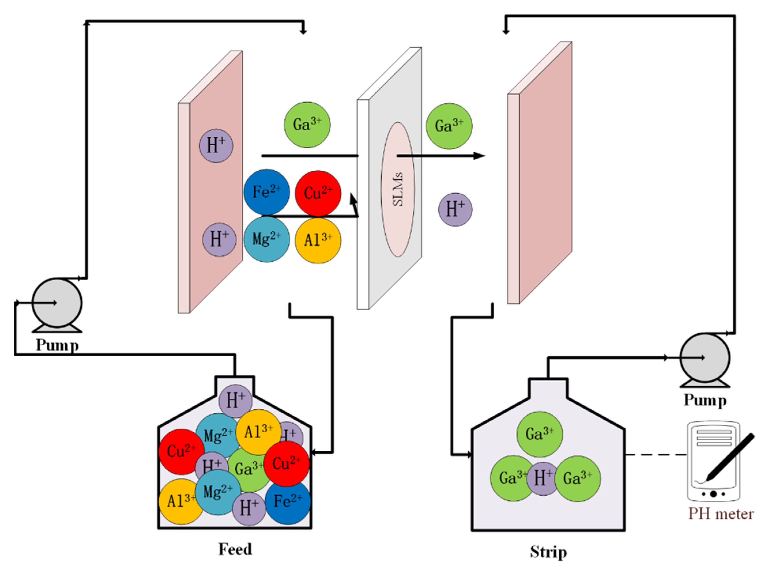 Membranes 12 00376 g001