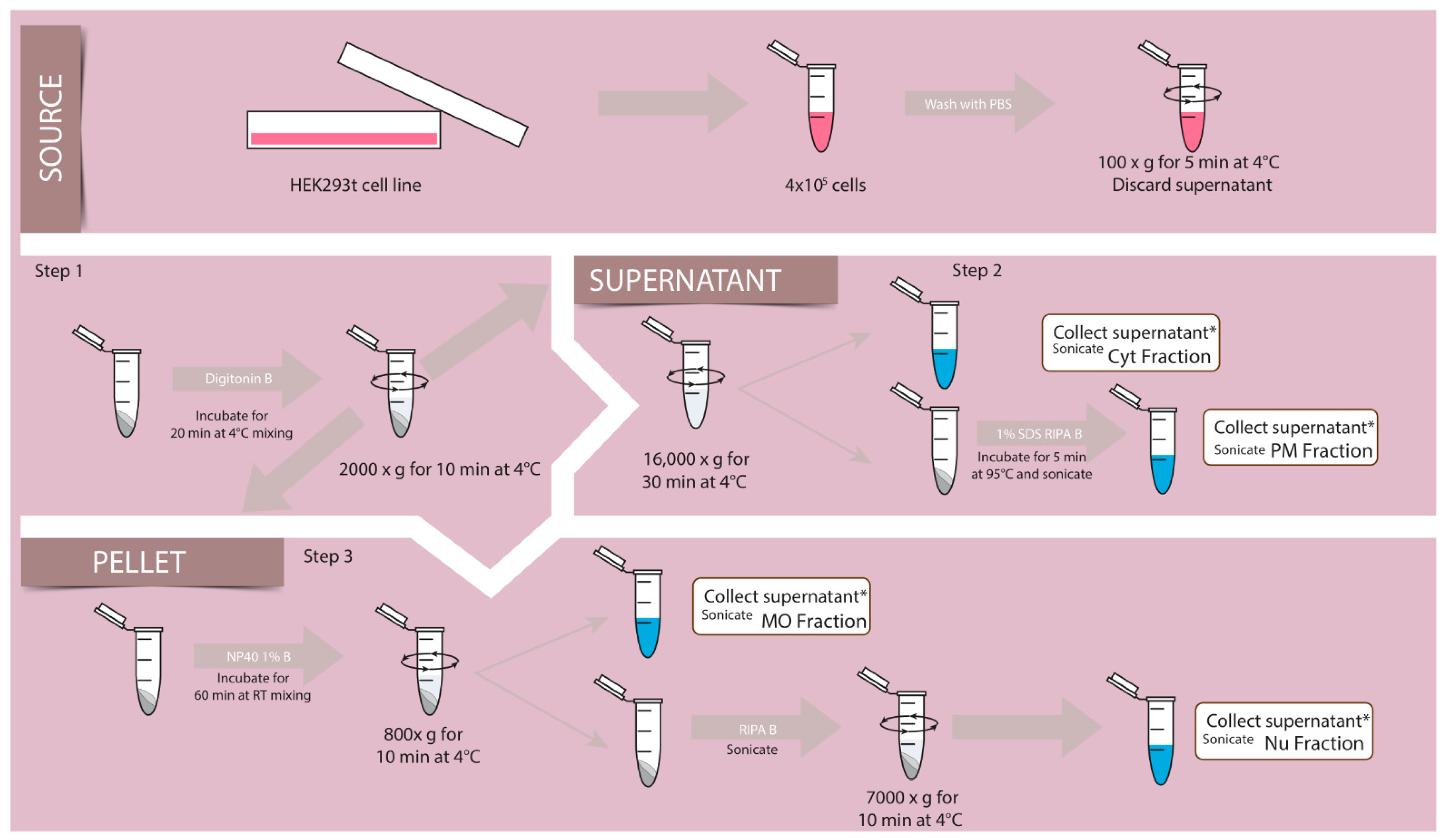 Membranes 12 00389 g001