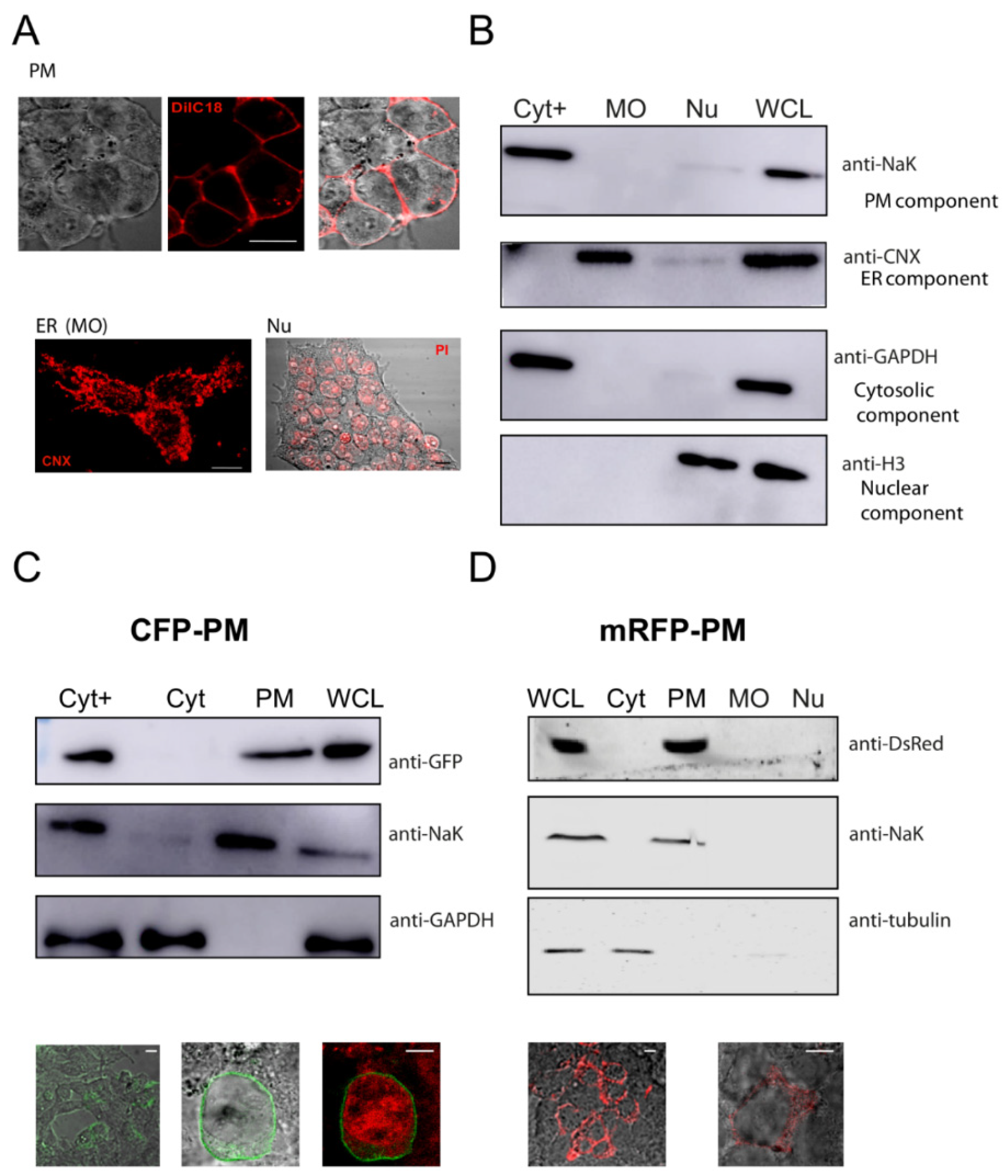 Membranes 12 00389 g002